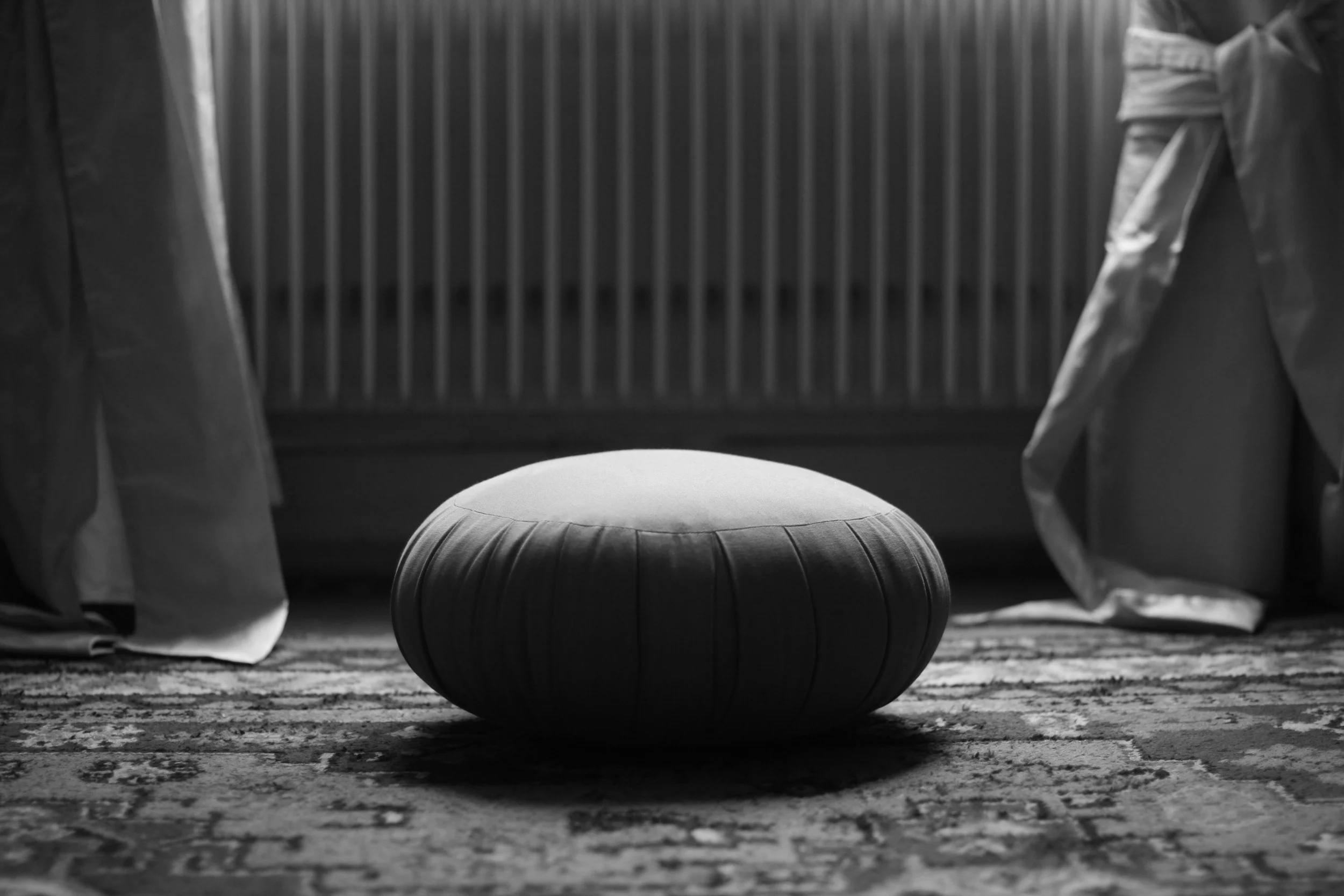 Non-Residential Meditation Retreat