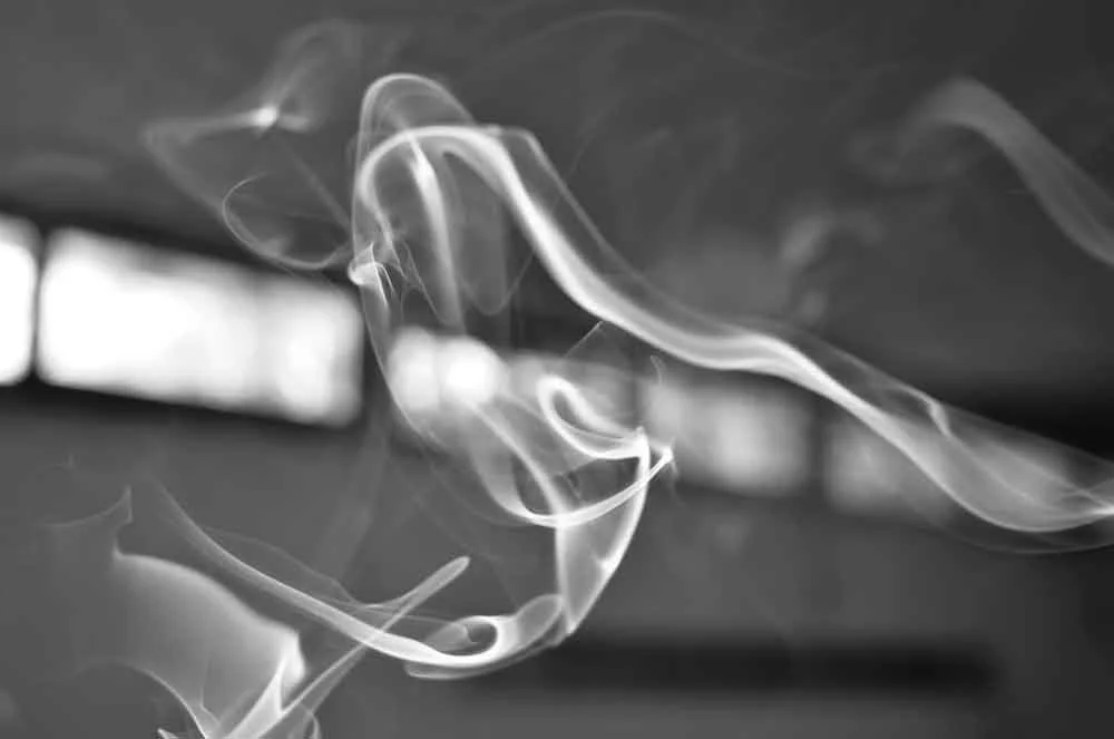 Koan Discussion with Grant