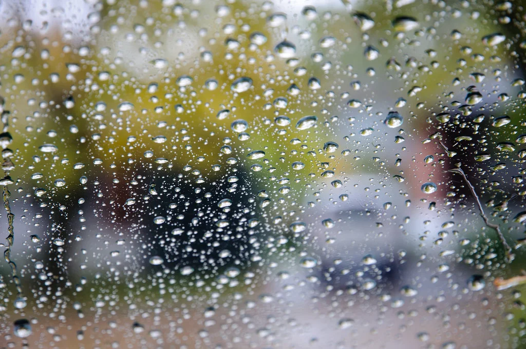 Sit & Talk by Elaine