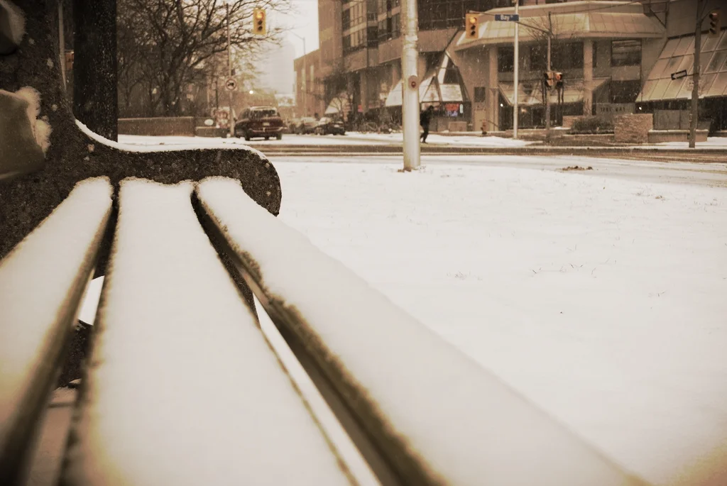 Sit, Walk, Sit, Council