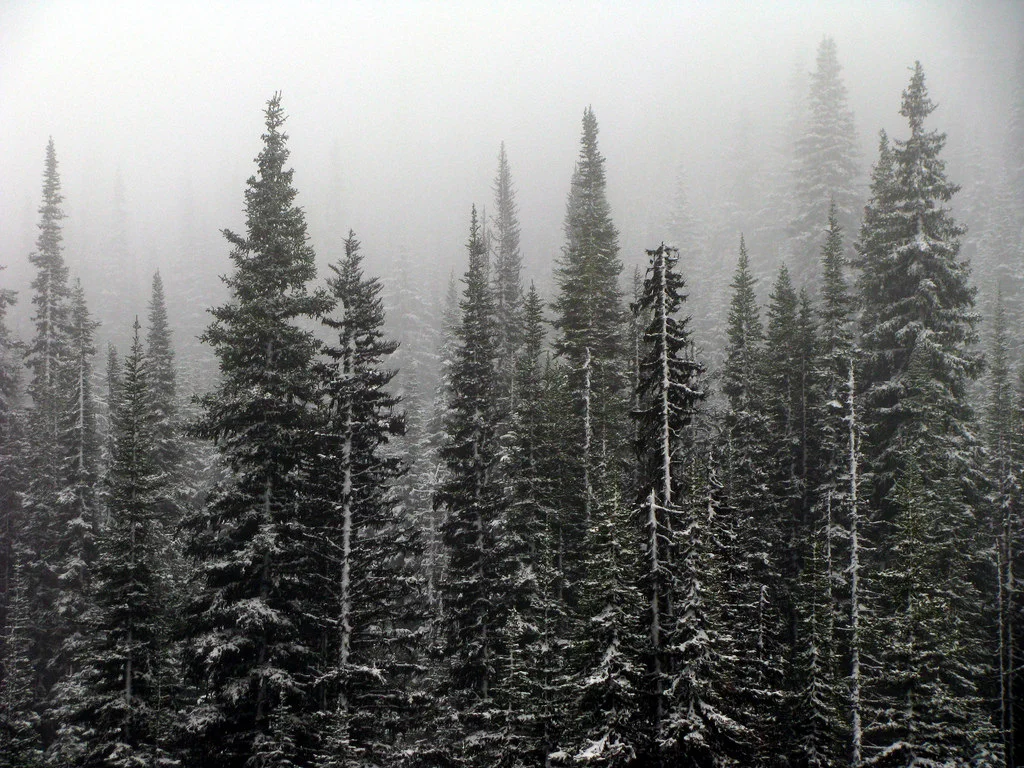 Sit & Discussion Facilitated by Rose