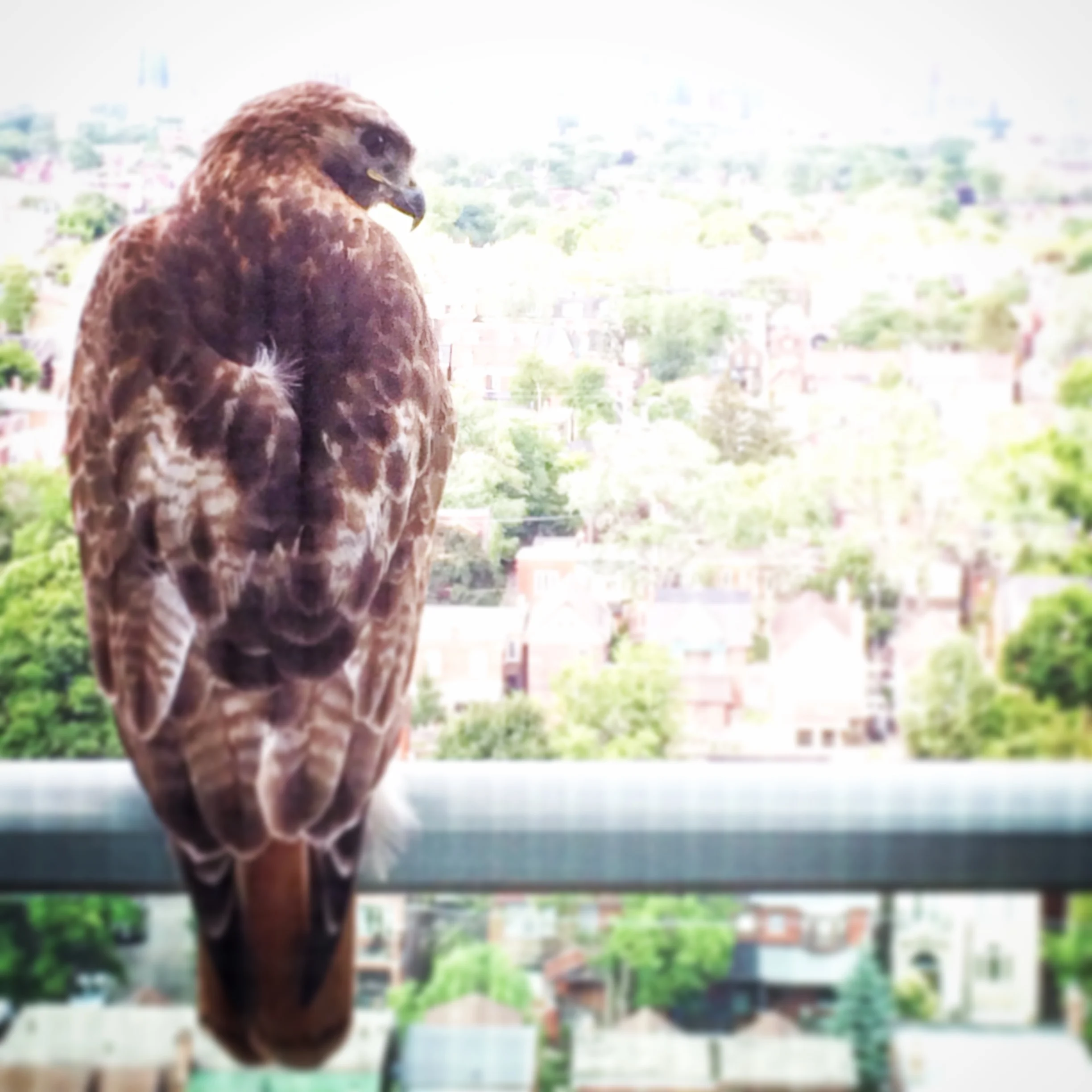 Sit, Talk by Katherine