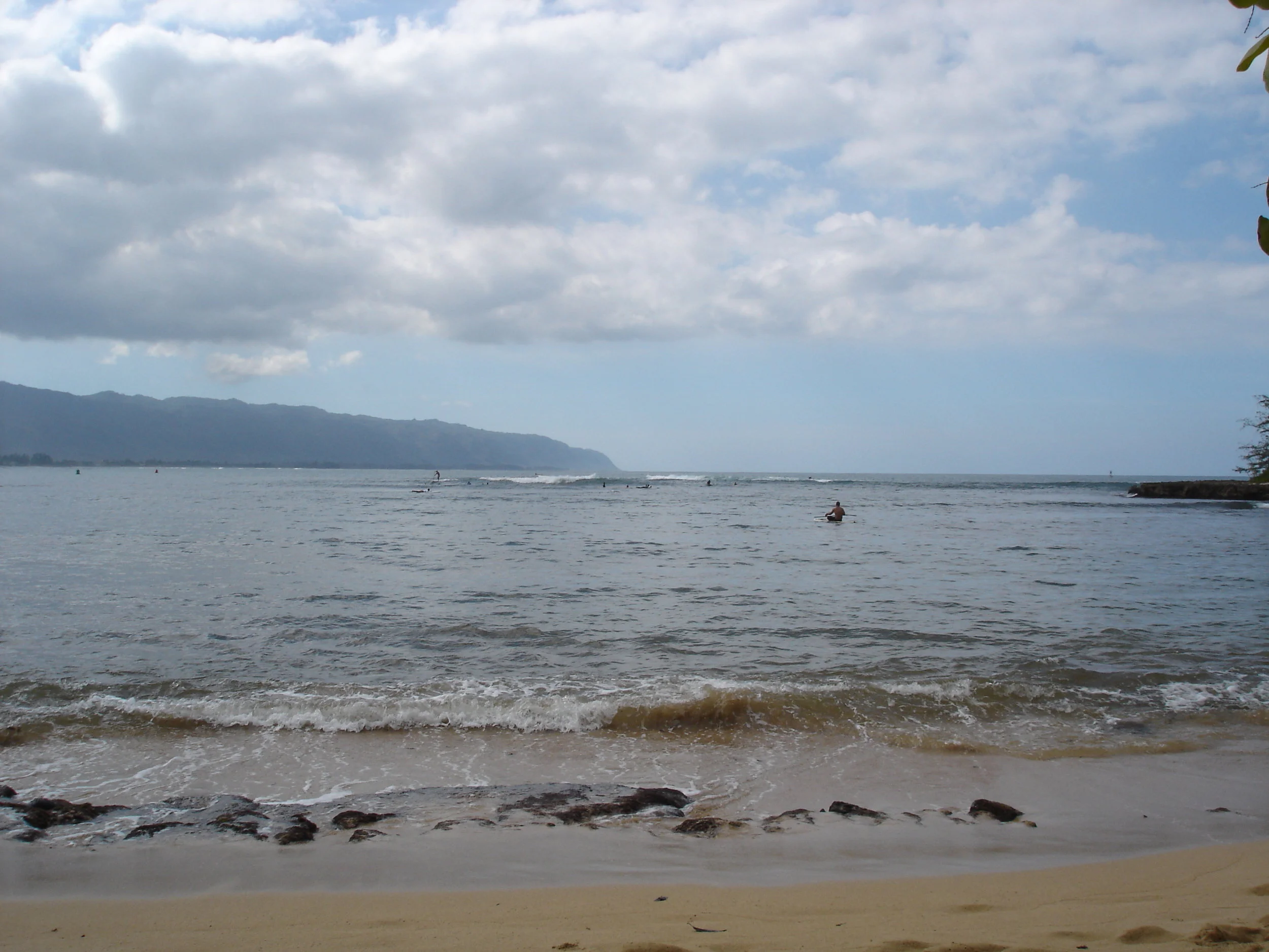 Sit, Talk by Rose based on Branching Streams Flow in the Darkness- Without Any Idea Of Attainment, Just to Sit is Our Way