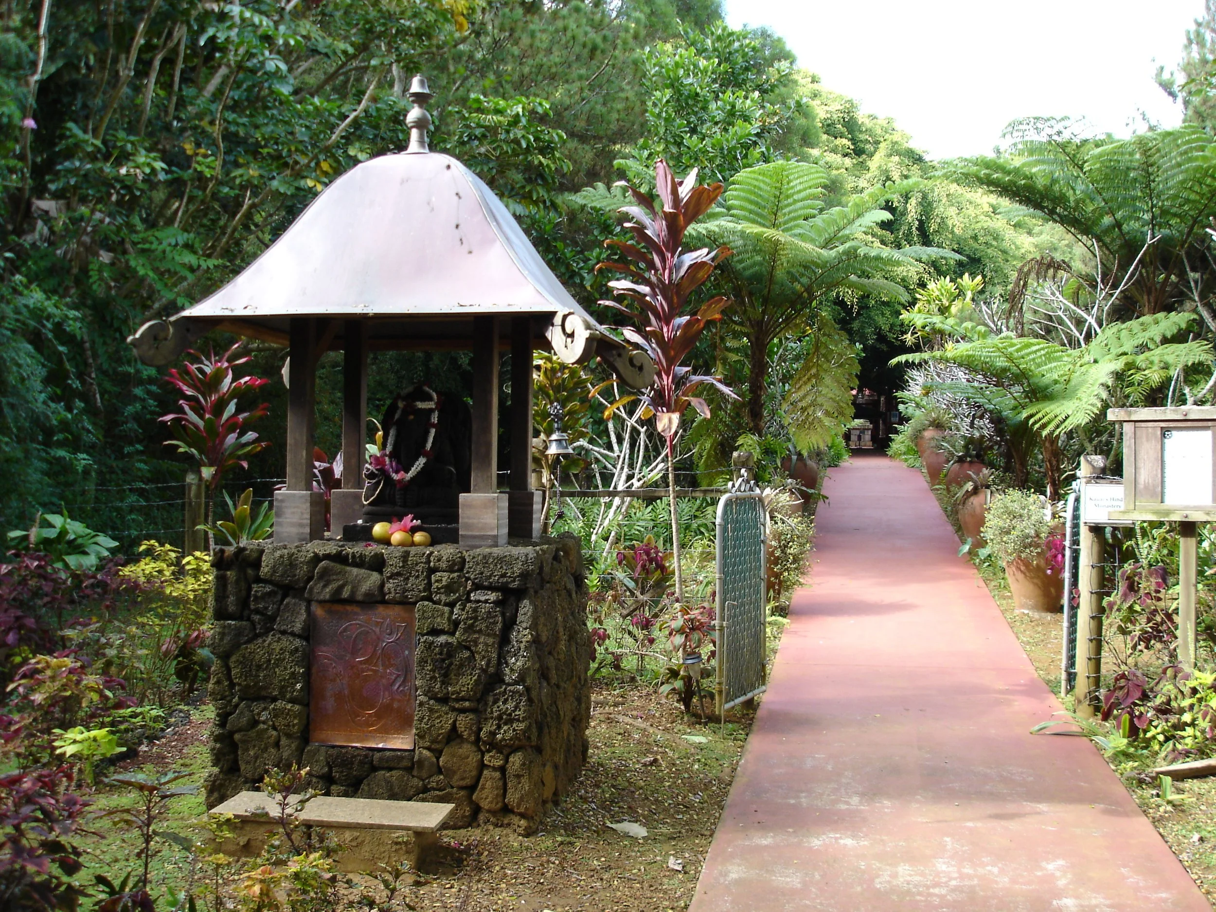 Online Zoom Sit &amp; Discussion