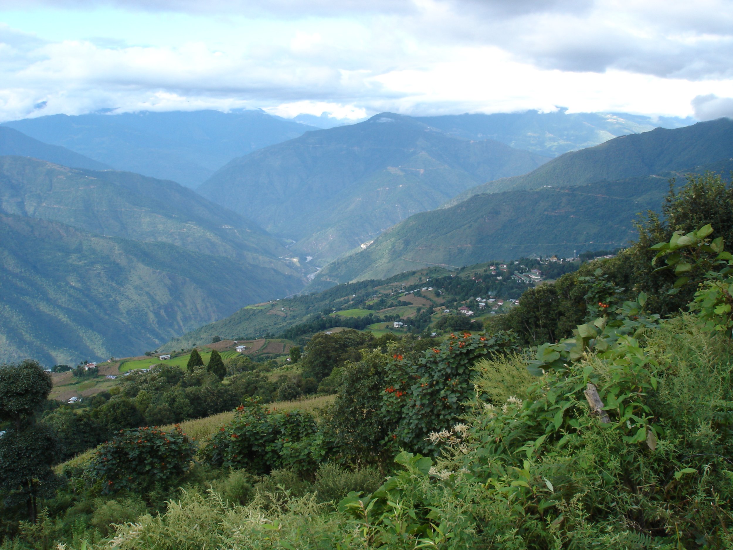 Online Zoom Sit &amp; Discussion