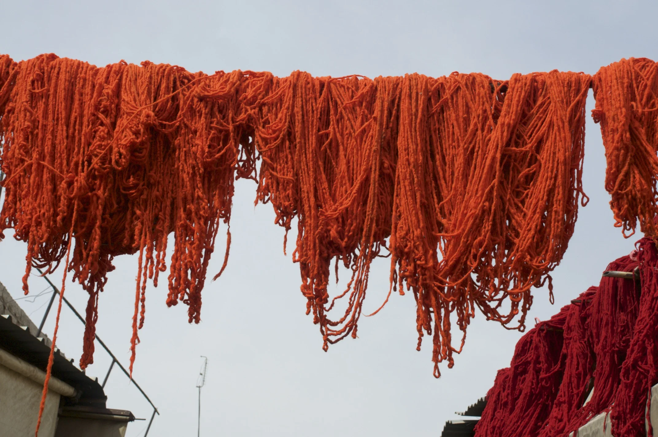 DSC_0066.jpg