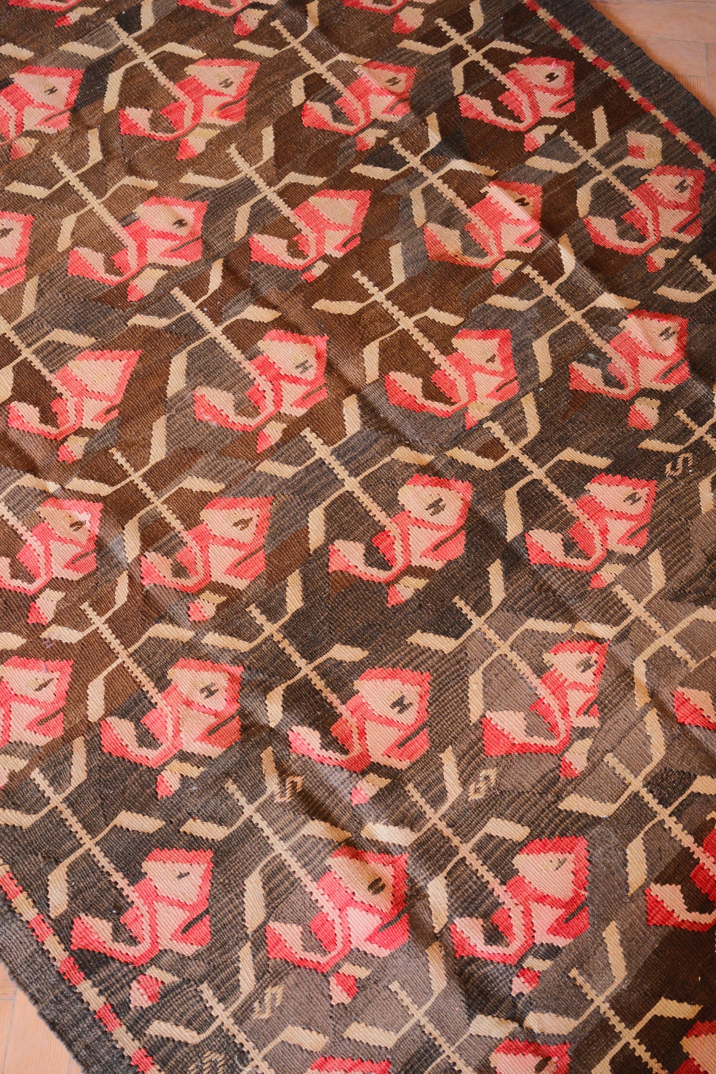 DSCF2554.jpg