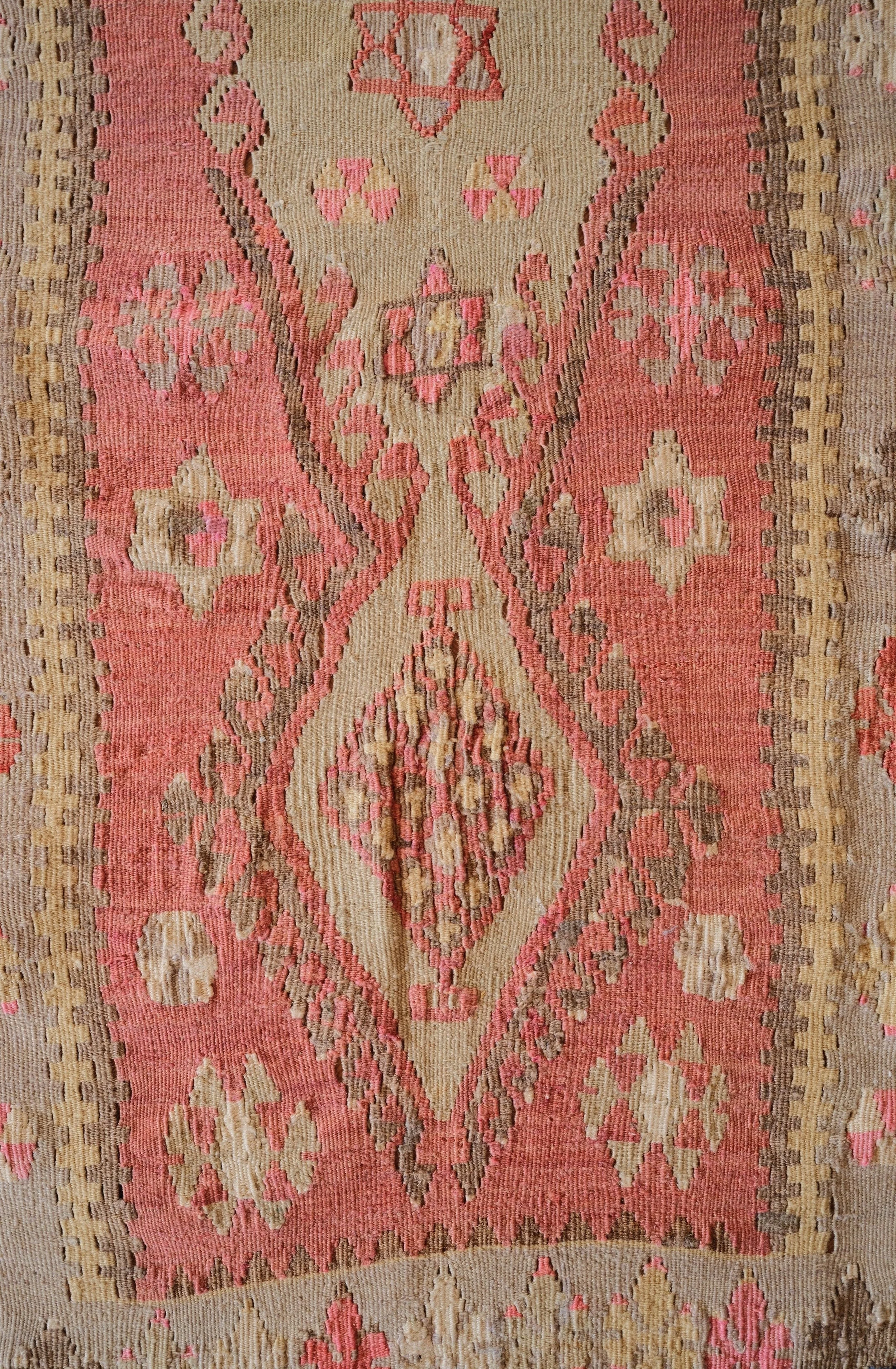 DSCF2561.jpg