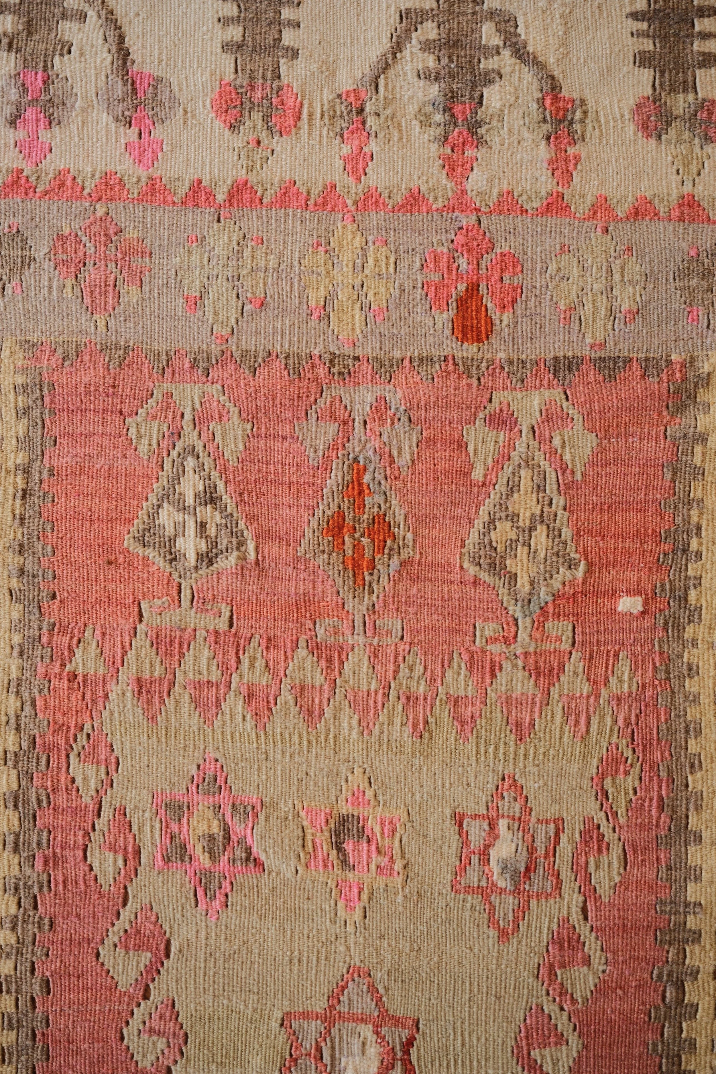 DSCF2562.jpg