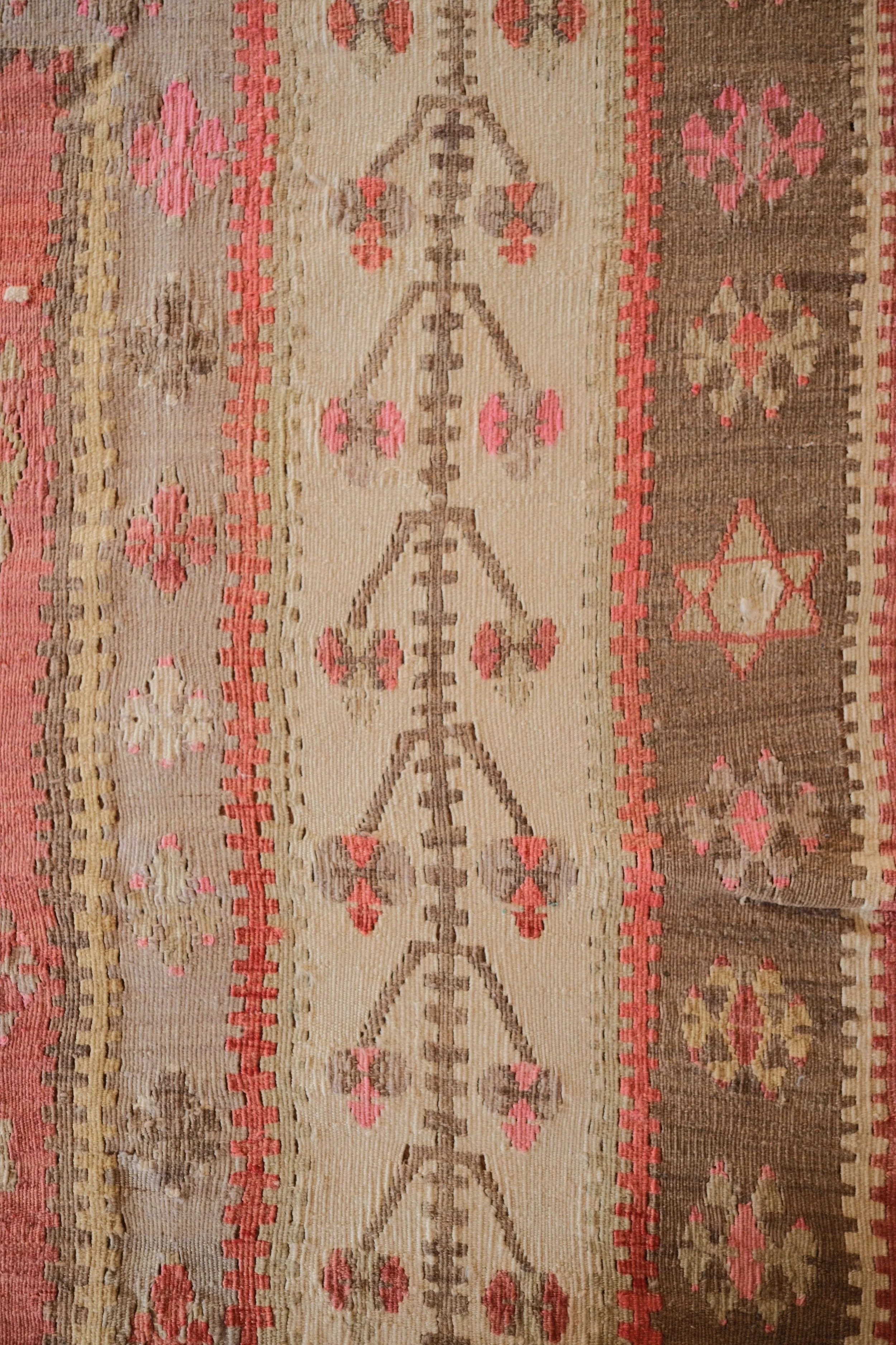 DSCF2563.jpg