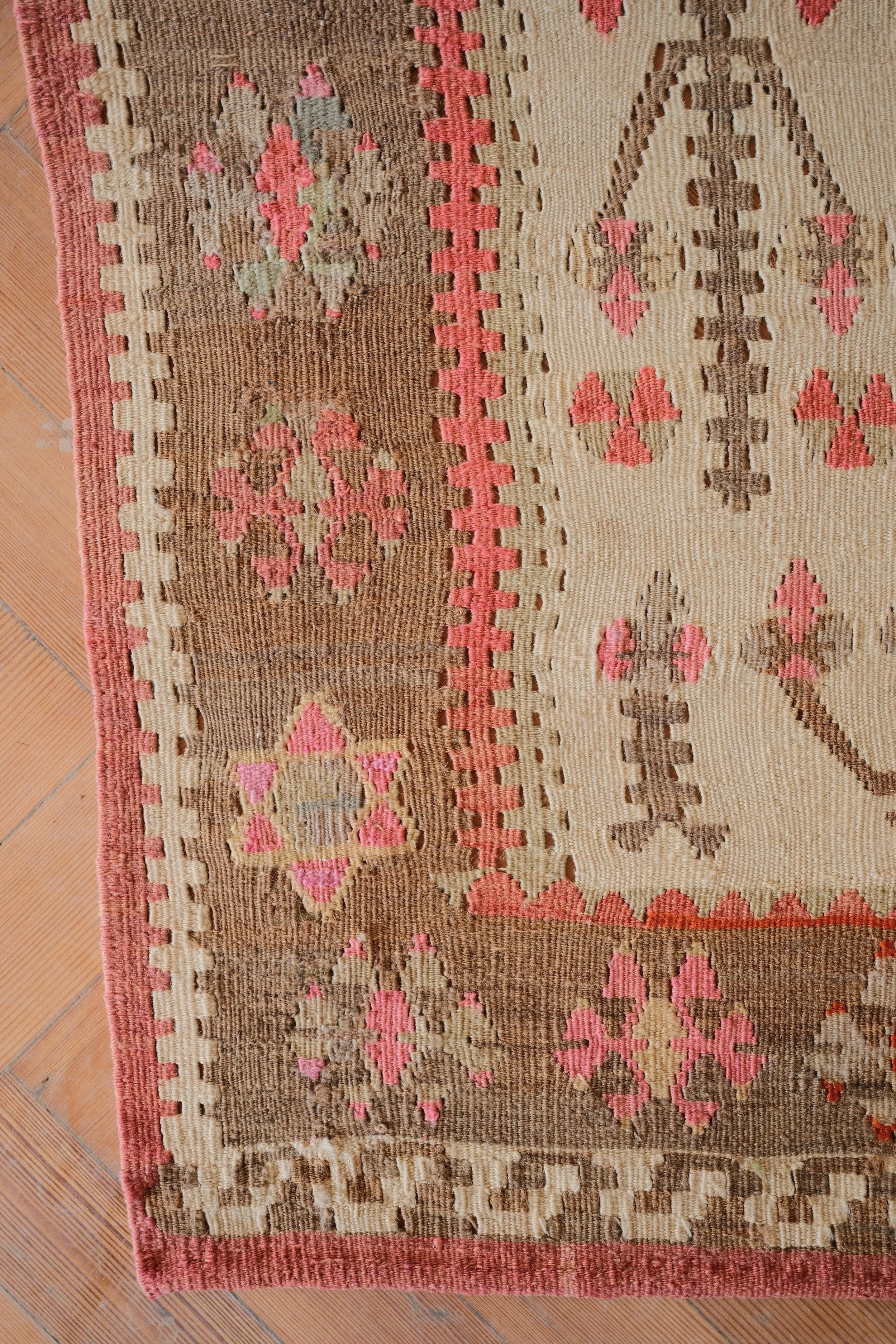 DSCF2559.jpg