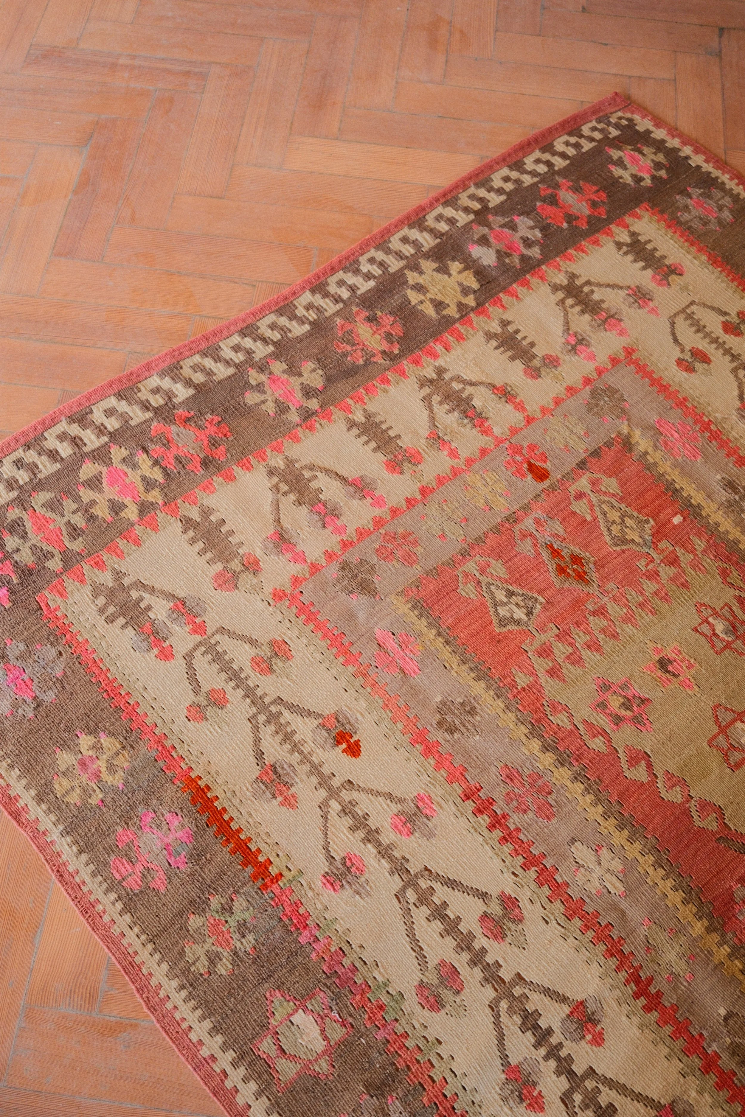 DSCF2564.jpg