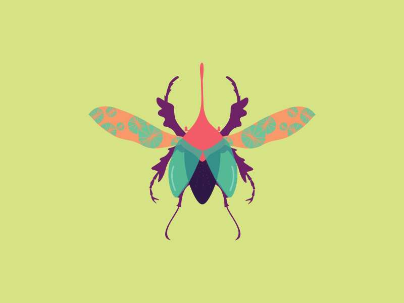 Entomophobia