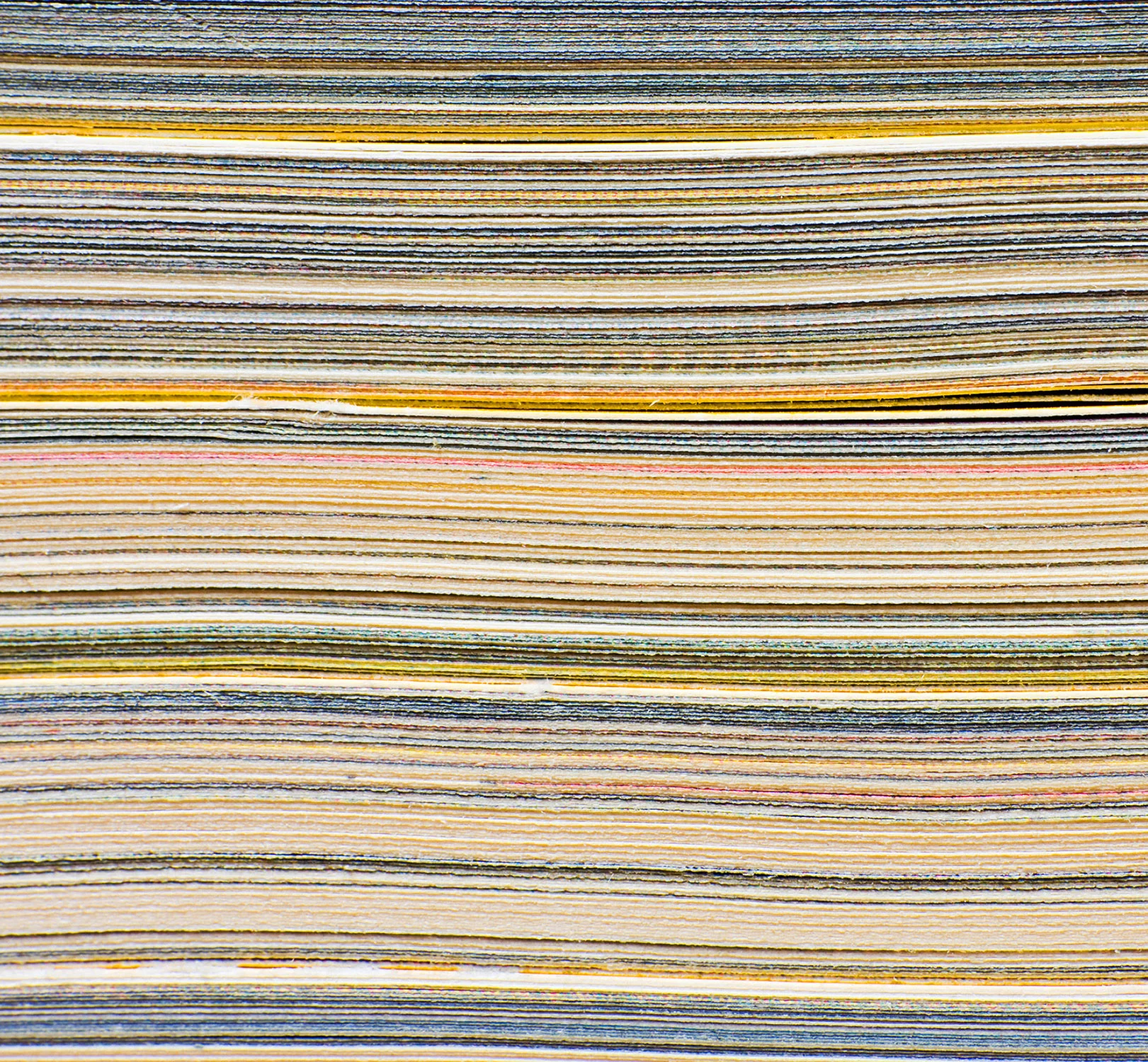 STRIPES(shutter)shorter.jpg