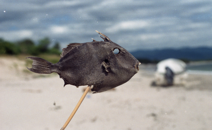 Untitled-180 copy.jpg