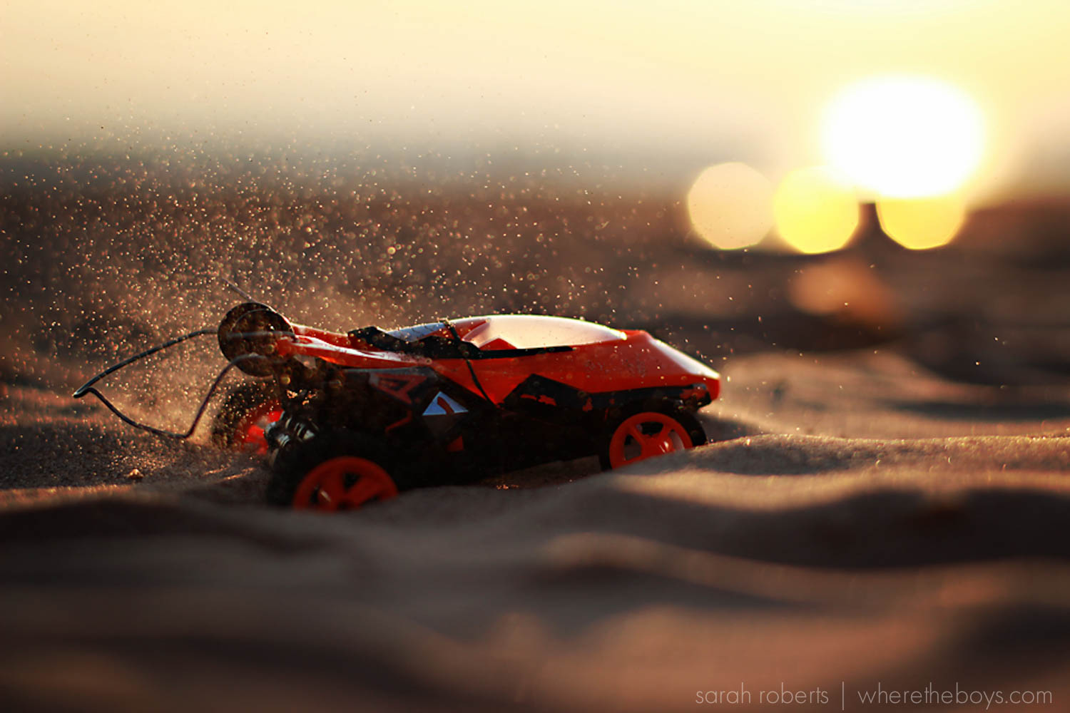 sarahrobertswheretheboys8282014-1.jpg