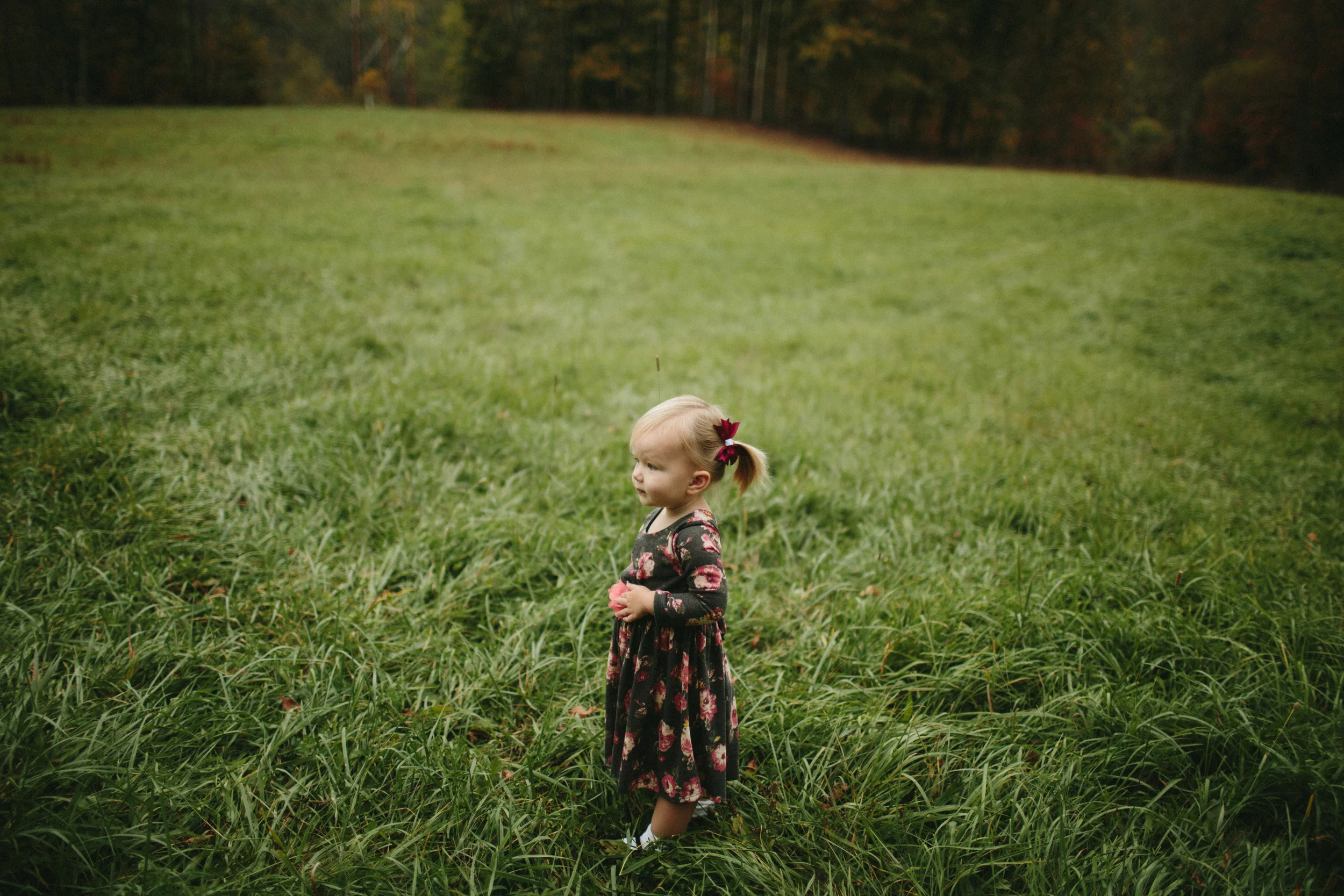 untitled-6.jpg