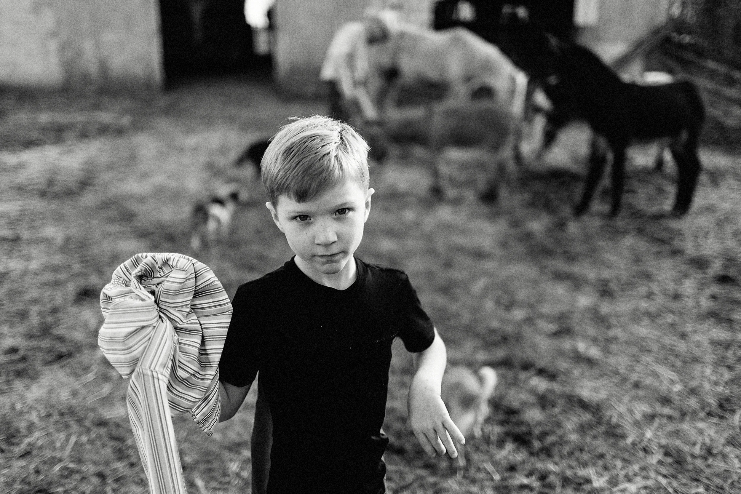 fort payne family photographer
