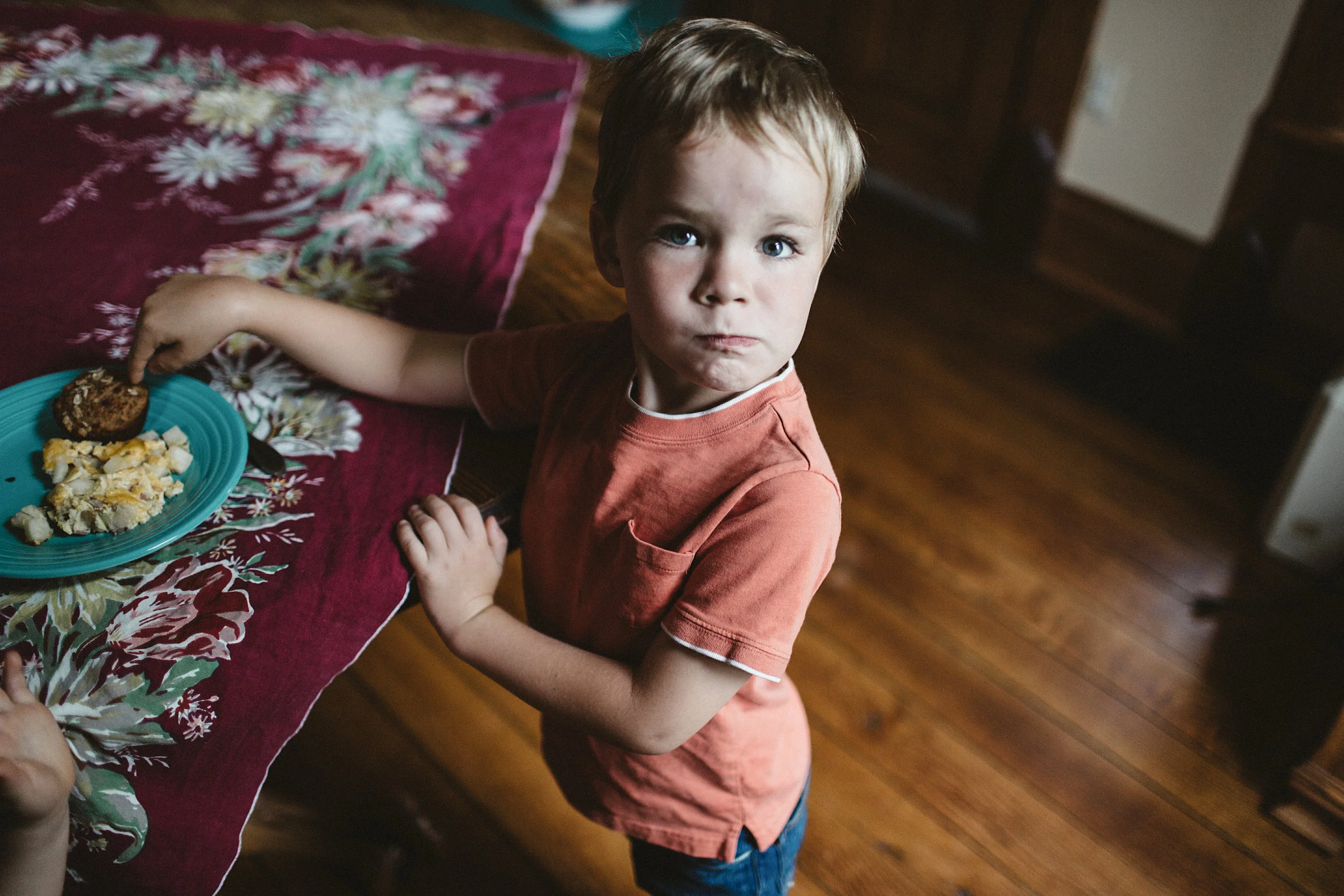fort payne family photographer