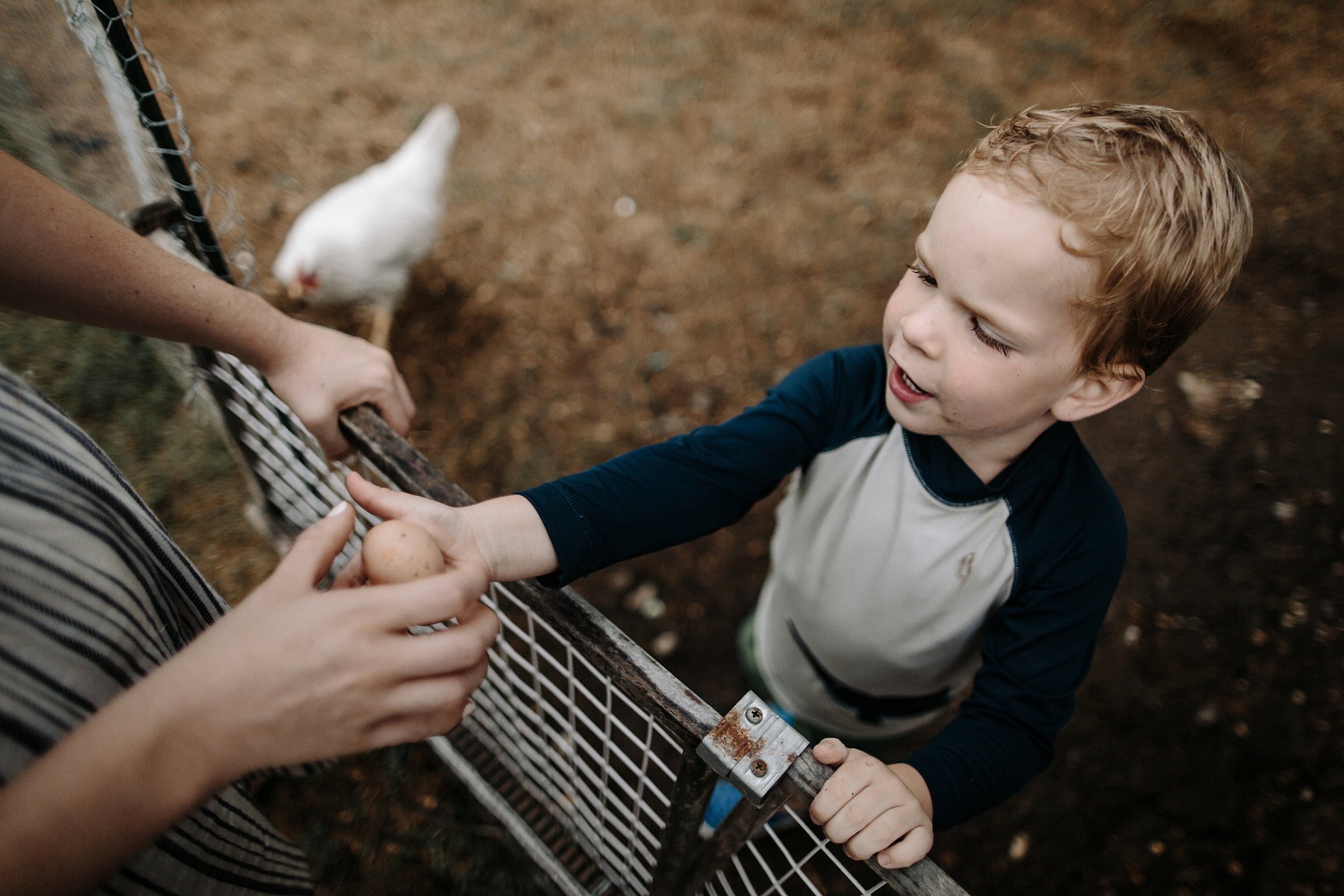 fort payne family photographer