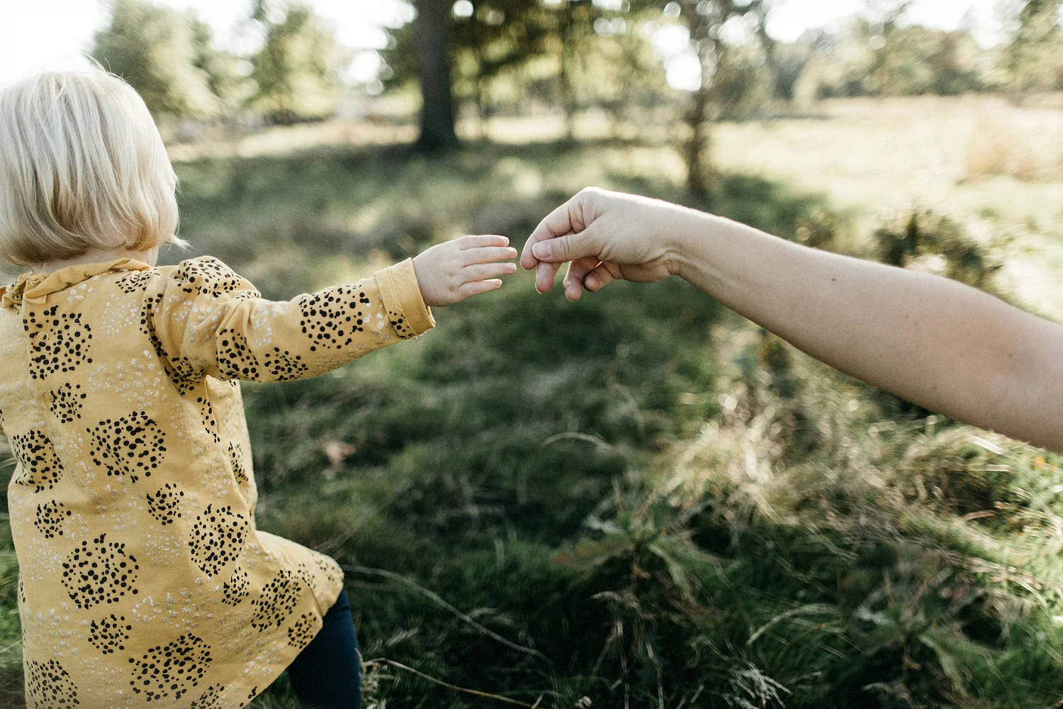 fort payne family photographer