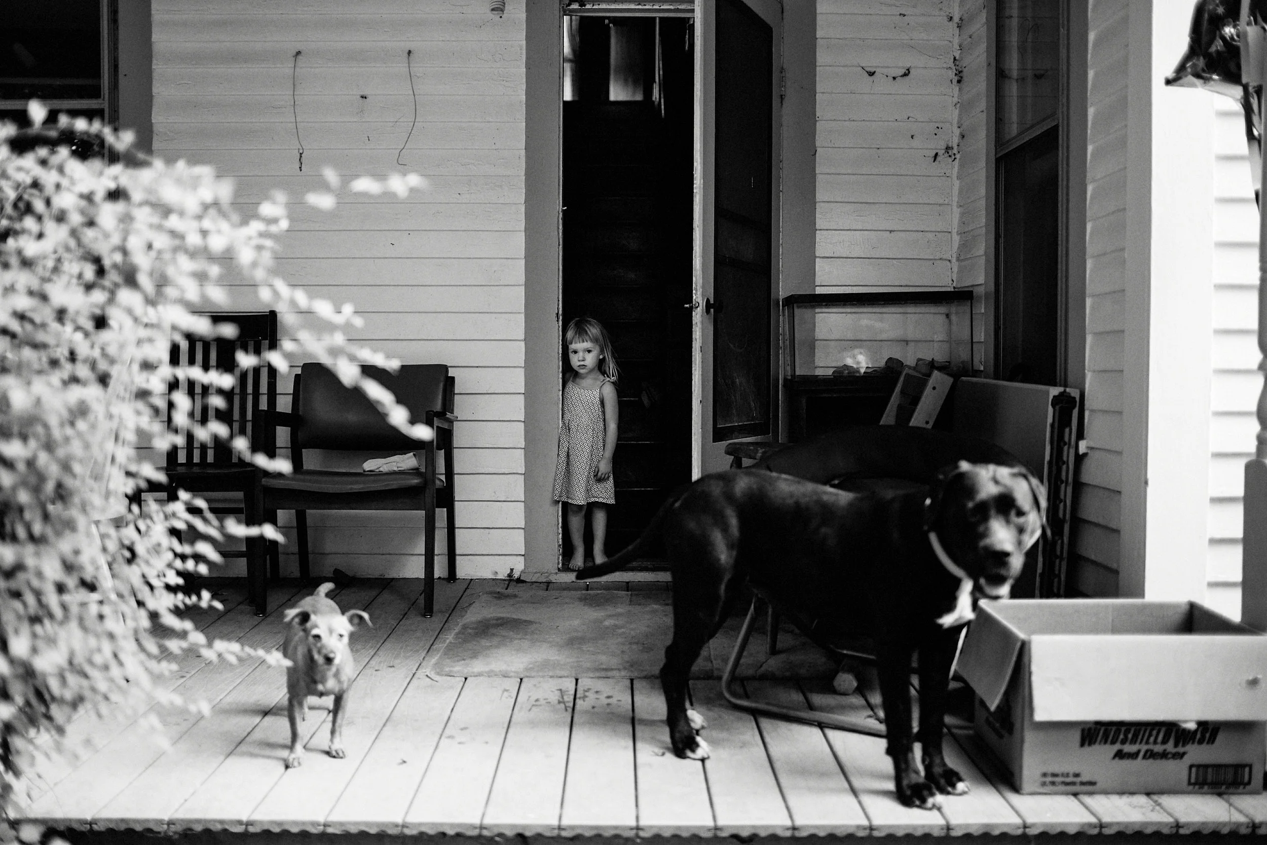 fort payne family photographer