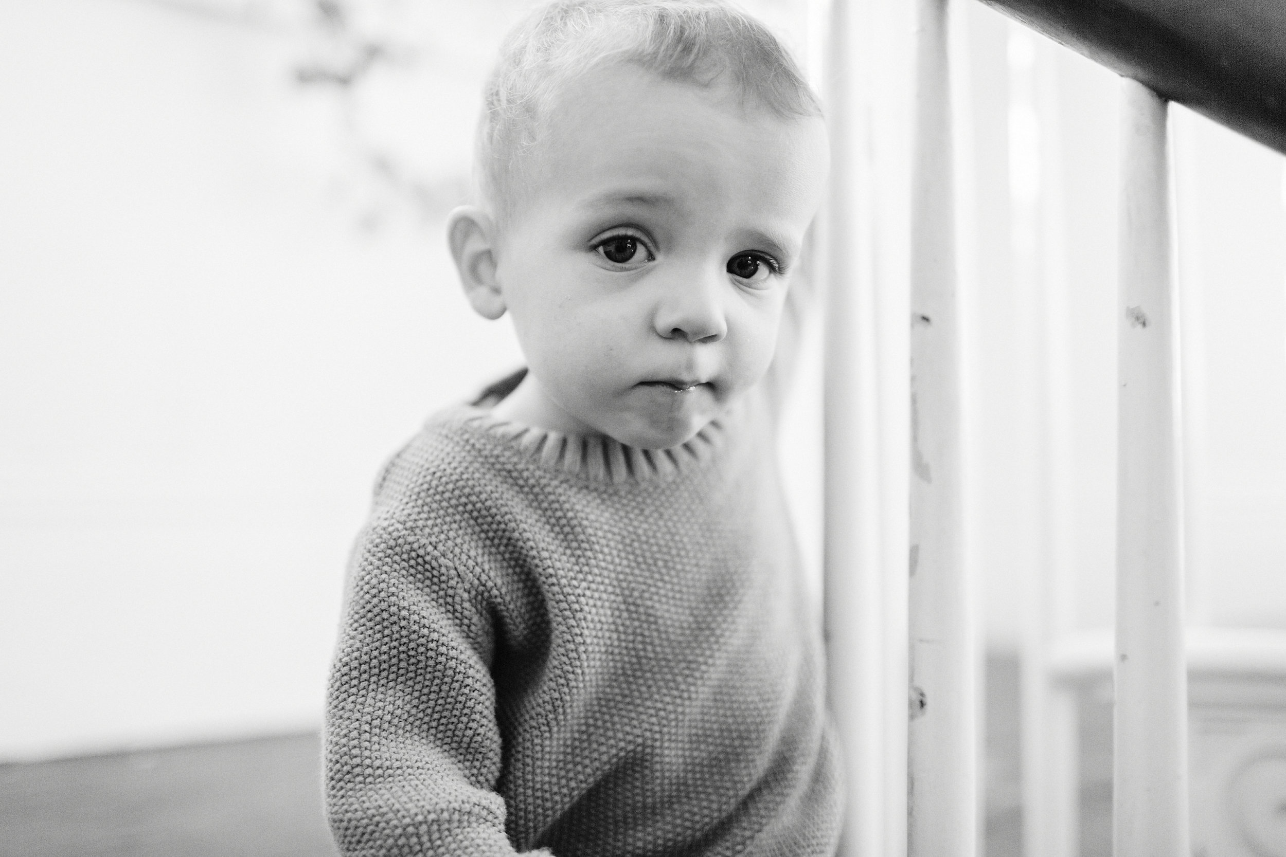 pittsburgh family photography