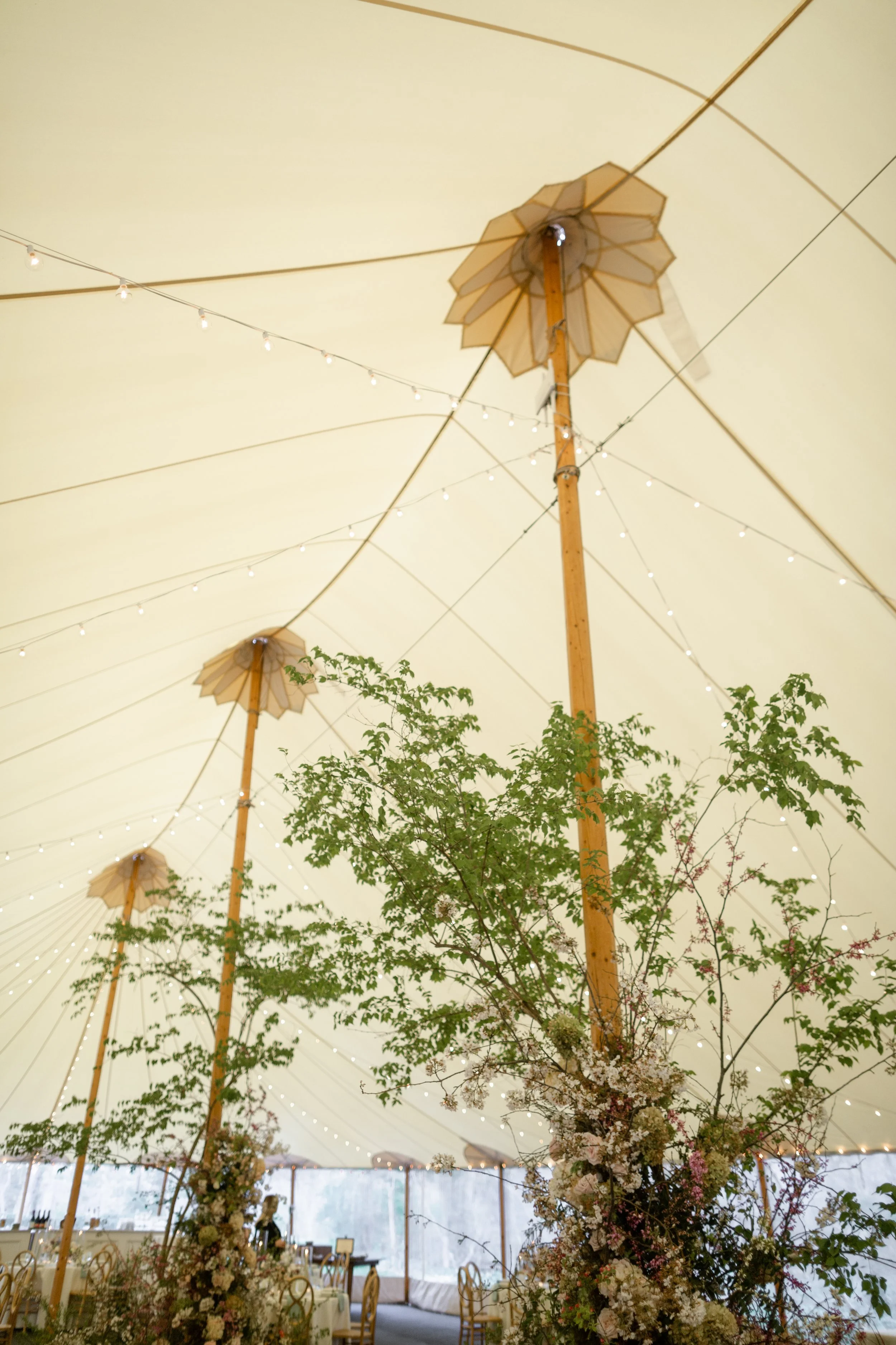 tent-6.jpg
