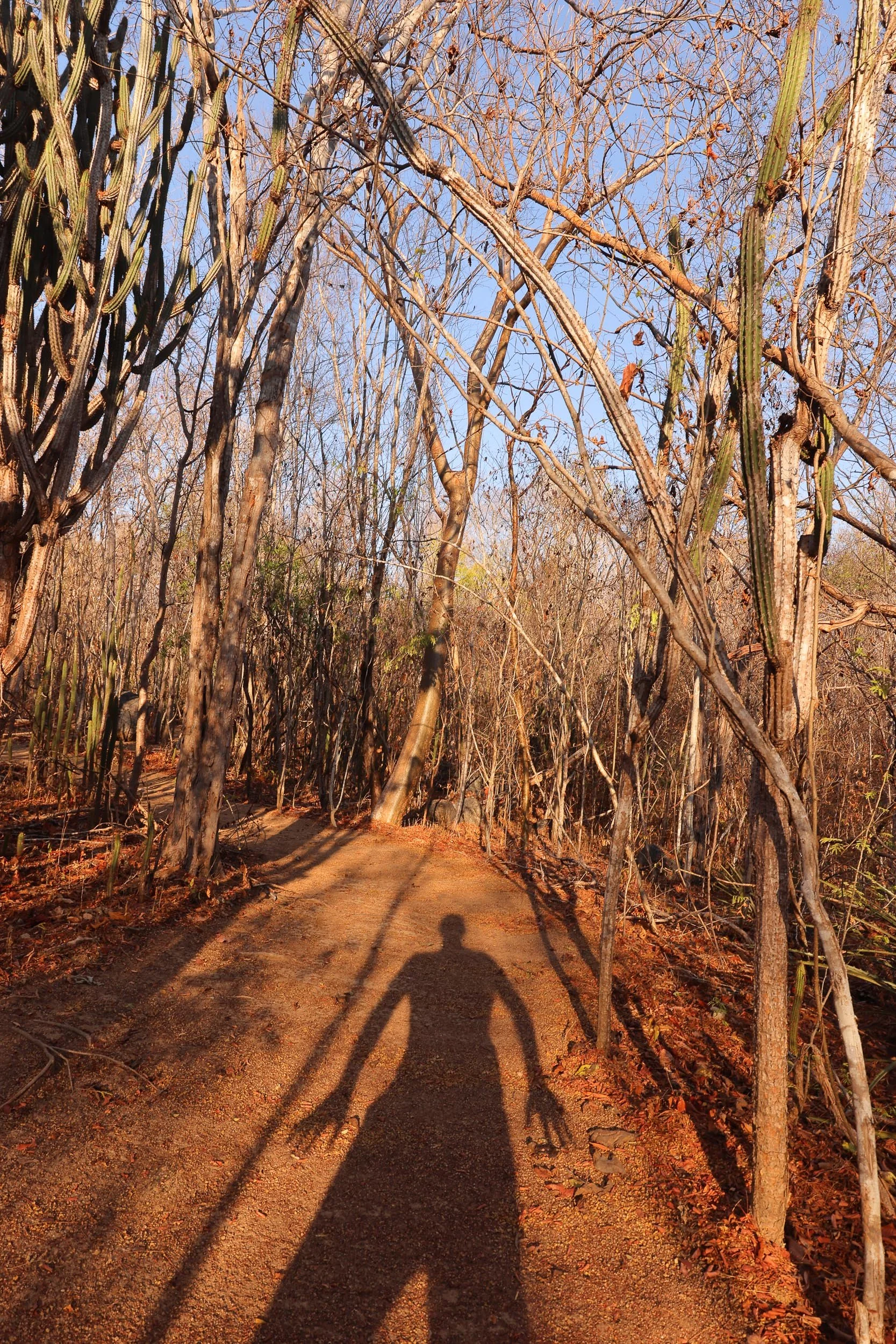 Copalita-220122083014 2.jpg