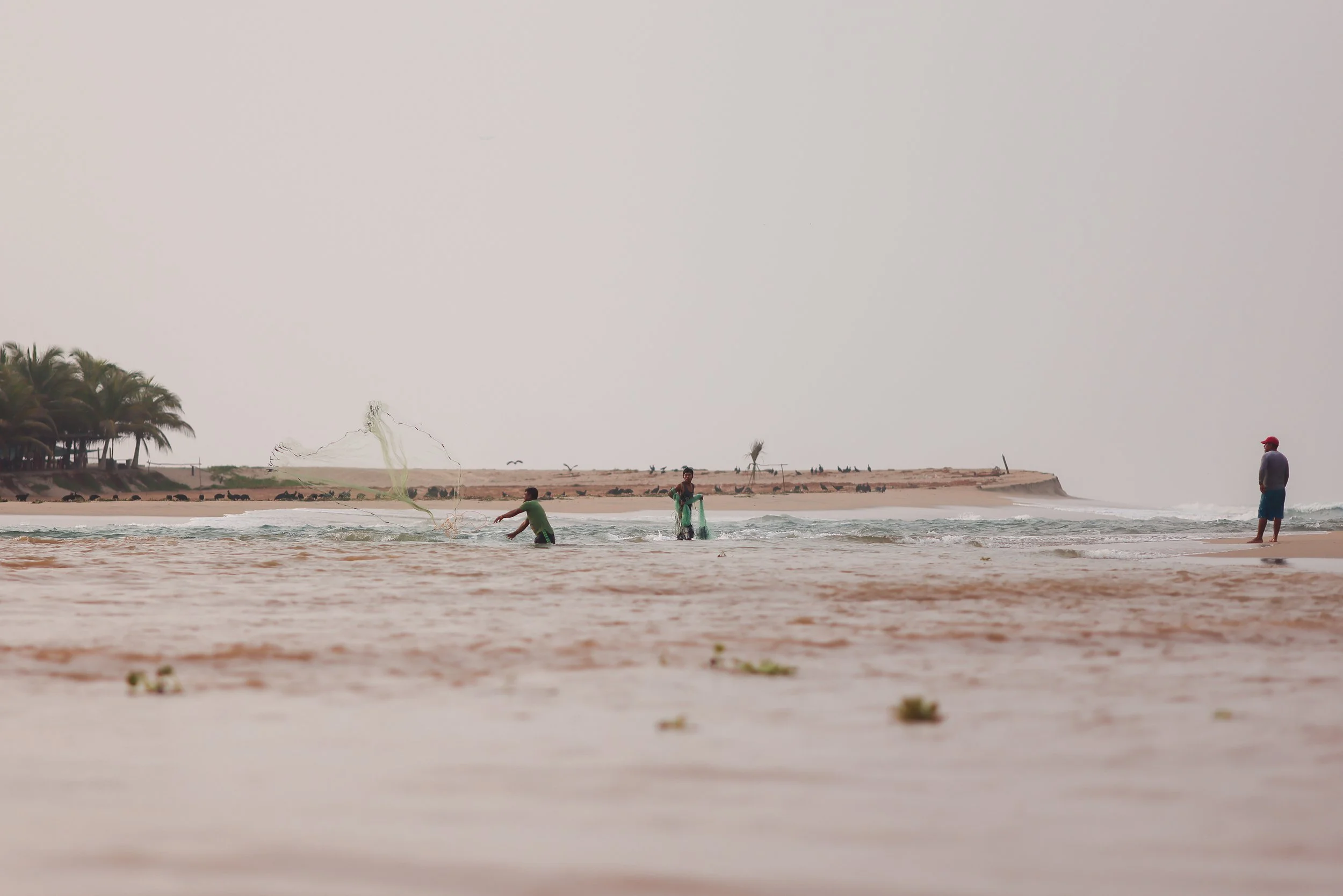 Manialtepec-210729070328-ALX_5322 2.JPG