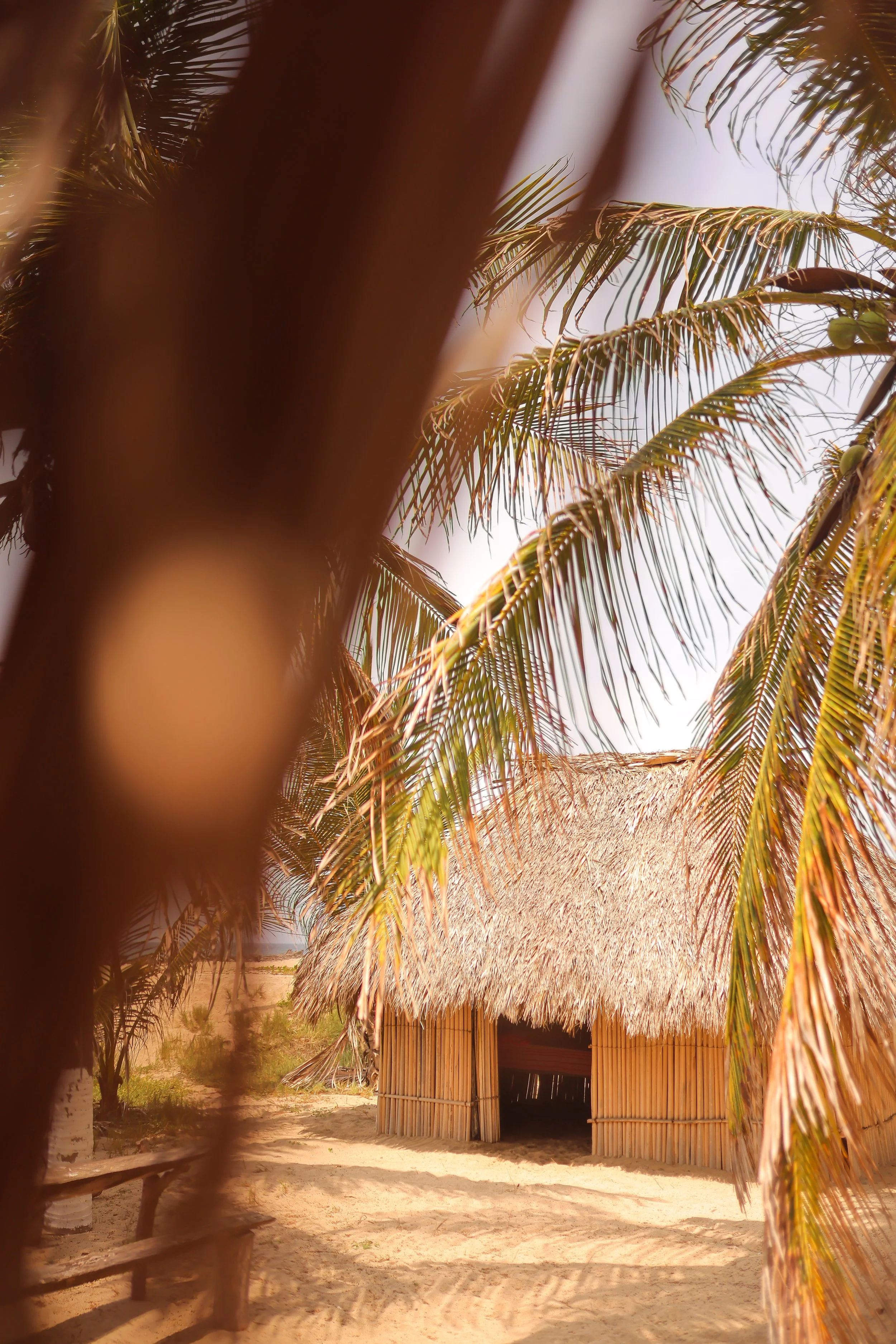 Manialtepec-210729111328-ALX_6007 2.JPG