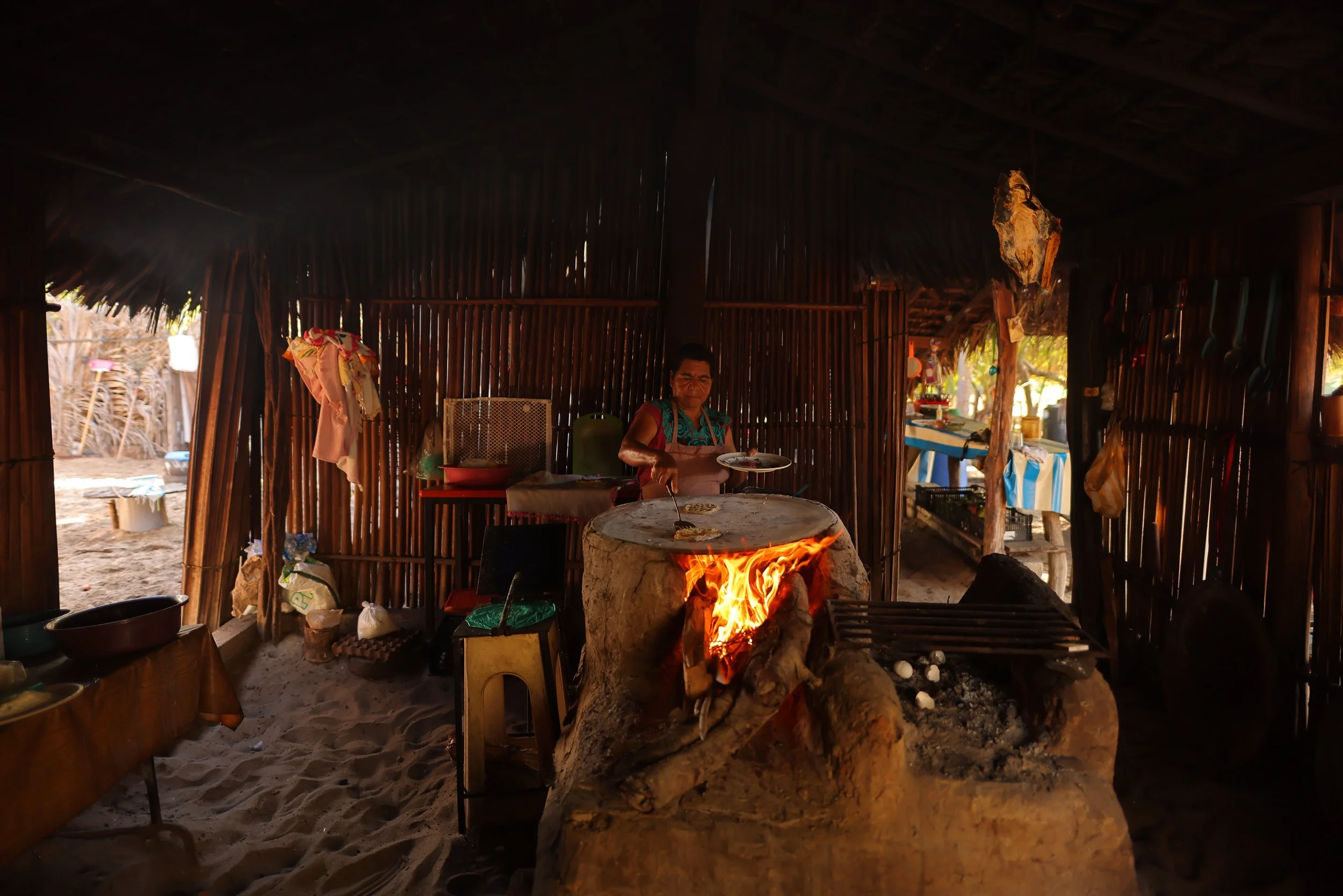 Manialtepec-210730083956-ALX_6132 2.JPG