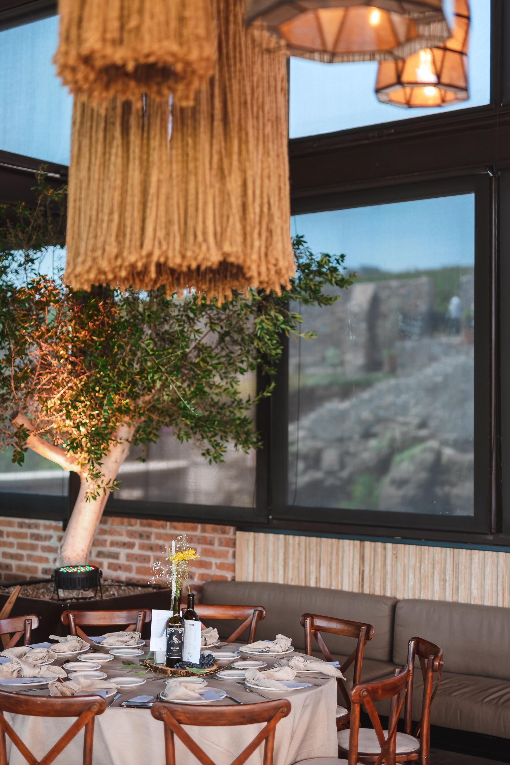 untitled -220910120517.jpg