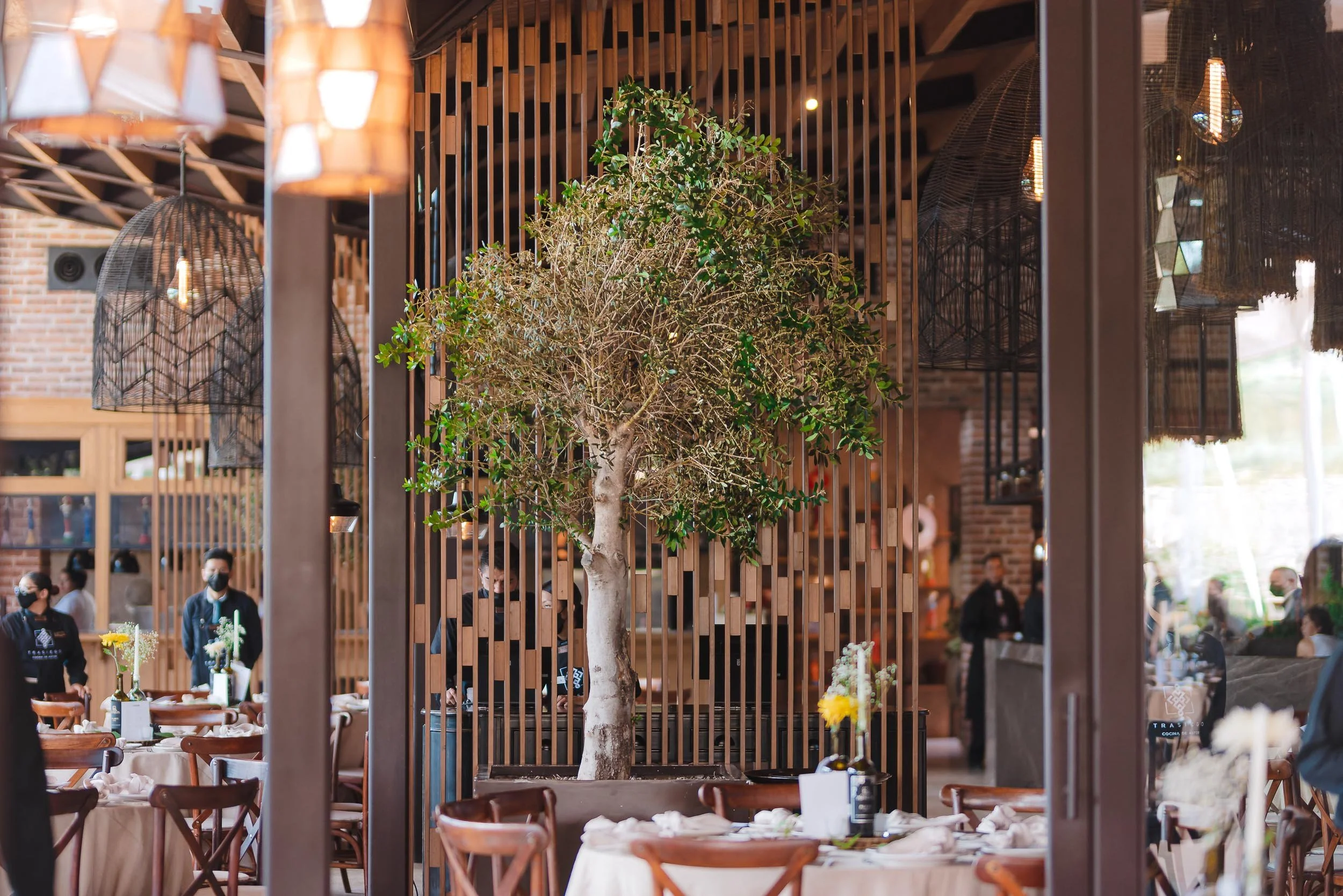 untitled -220910120729.jpg