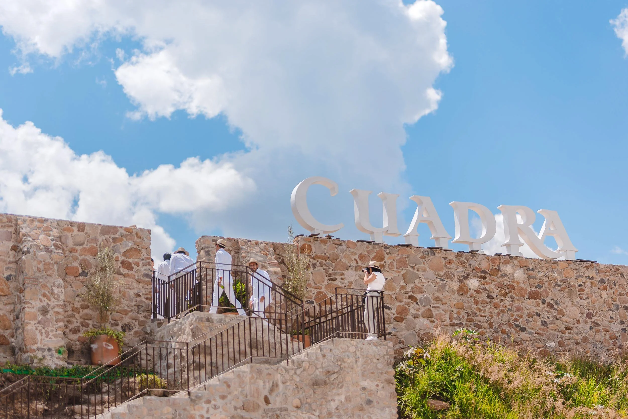 untitled -220910135354.jpg