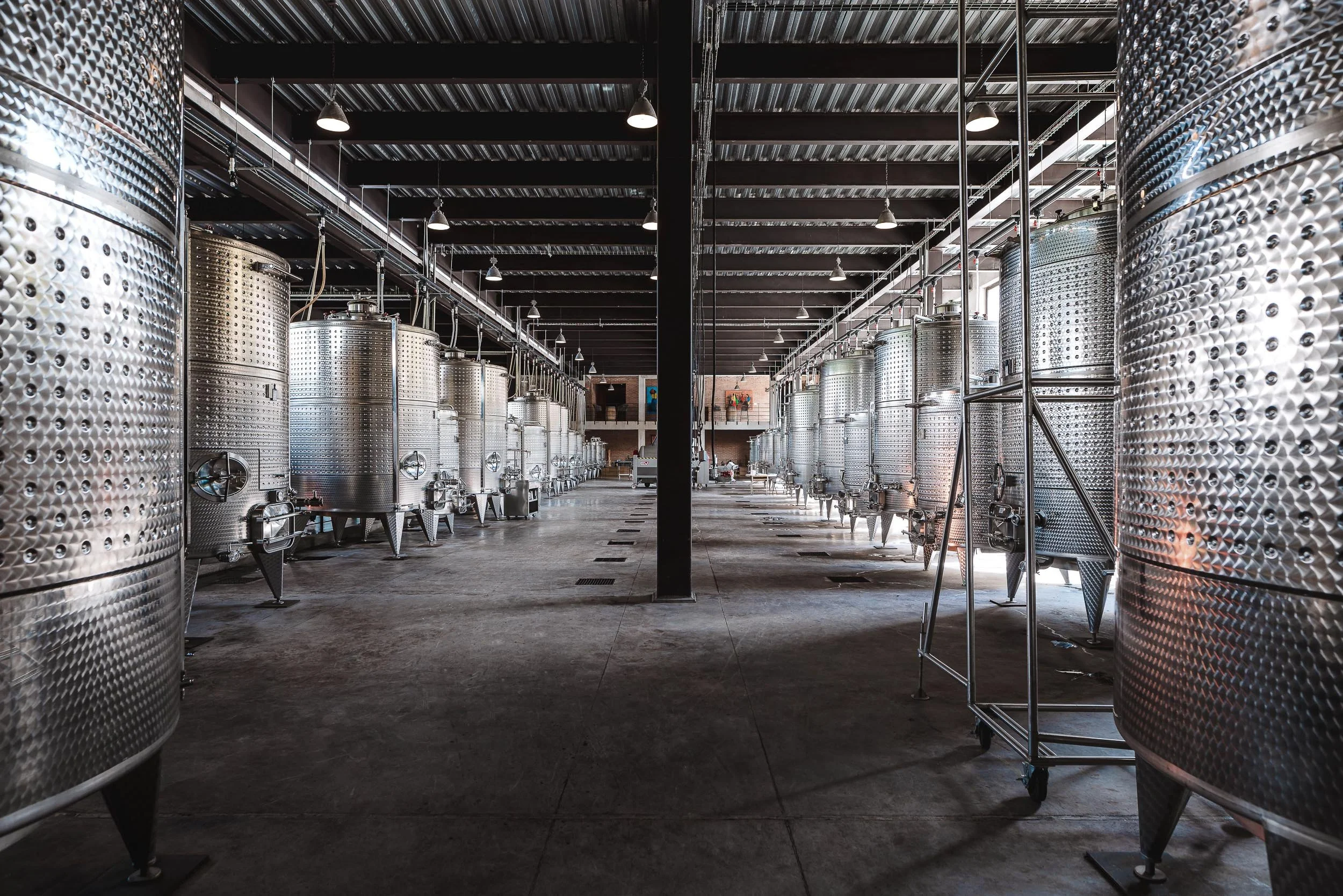 untitled -220910152520.jpg