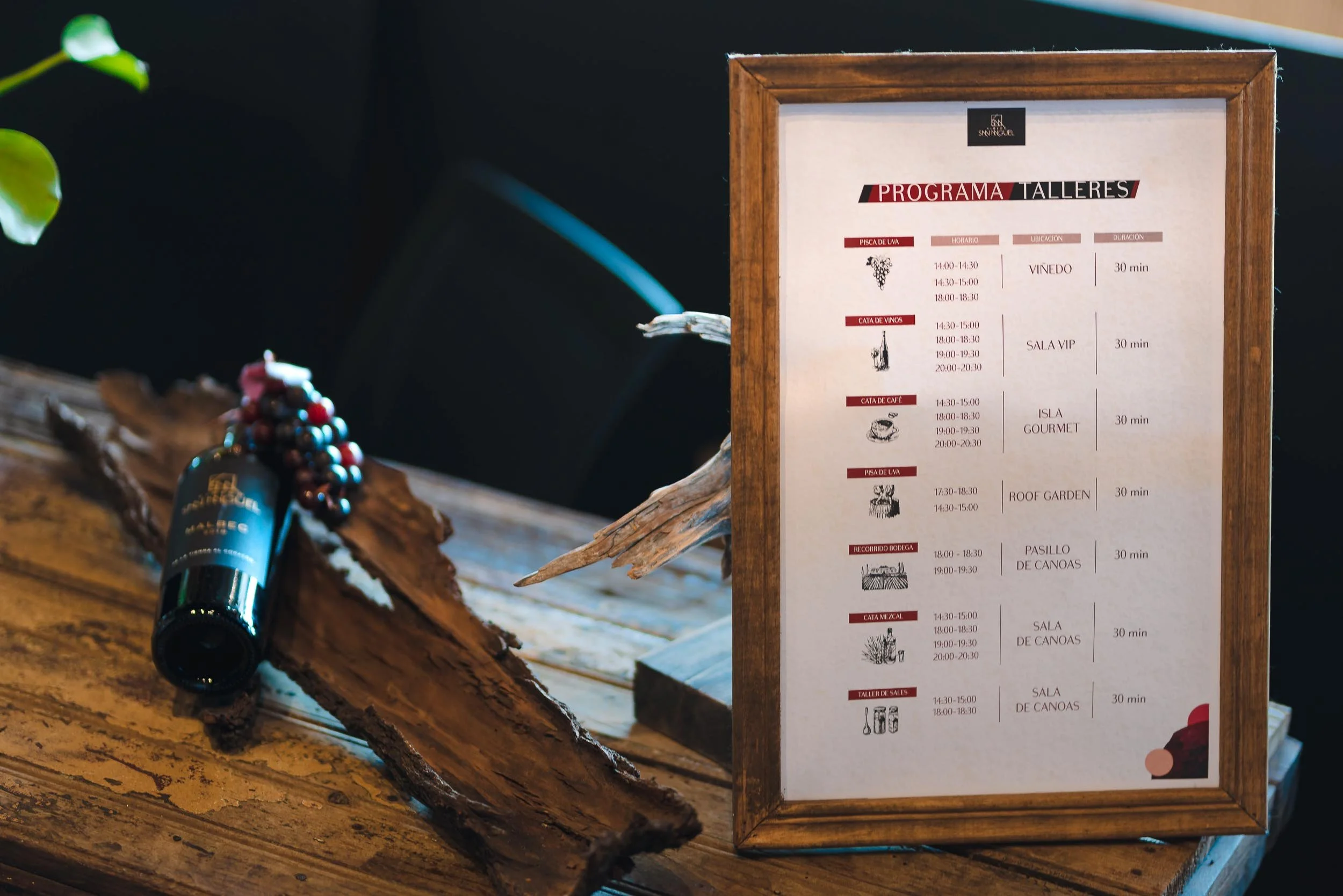 untitled -220910153107.jpg