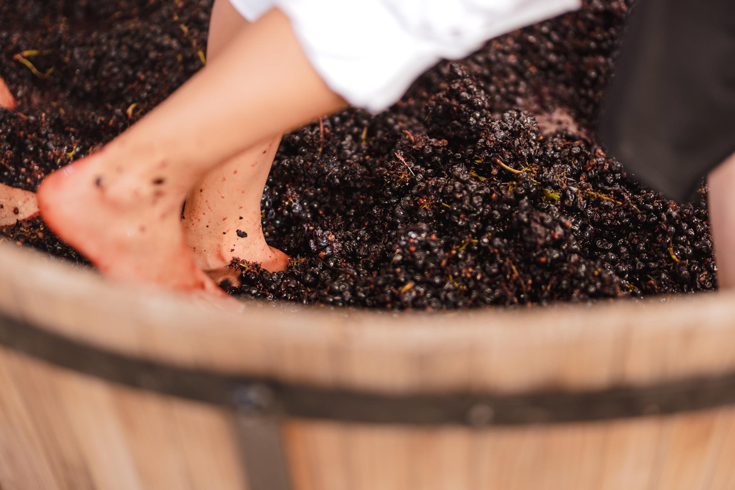 untitled -220910163943.jpg