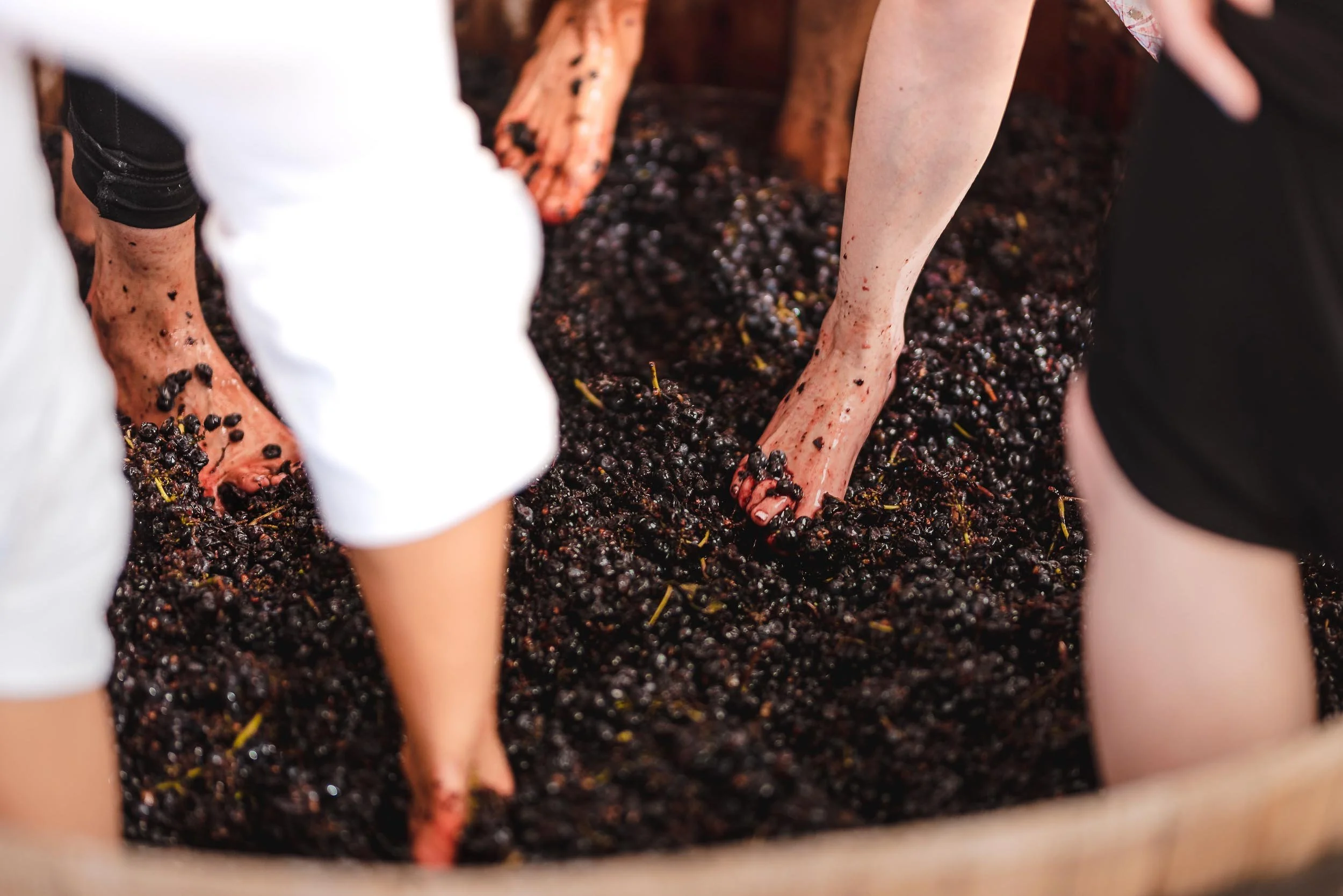 untitled -220910163957.jpg