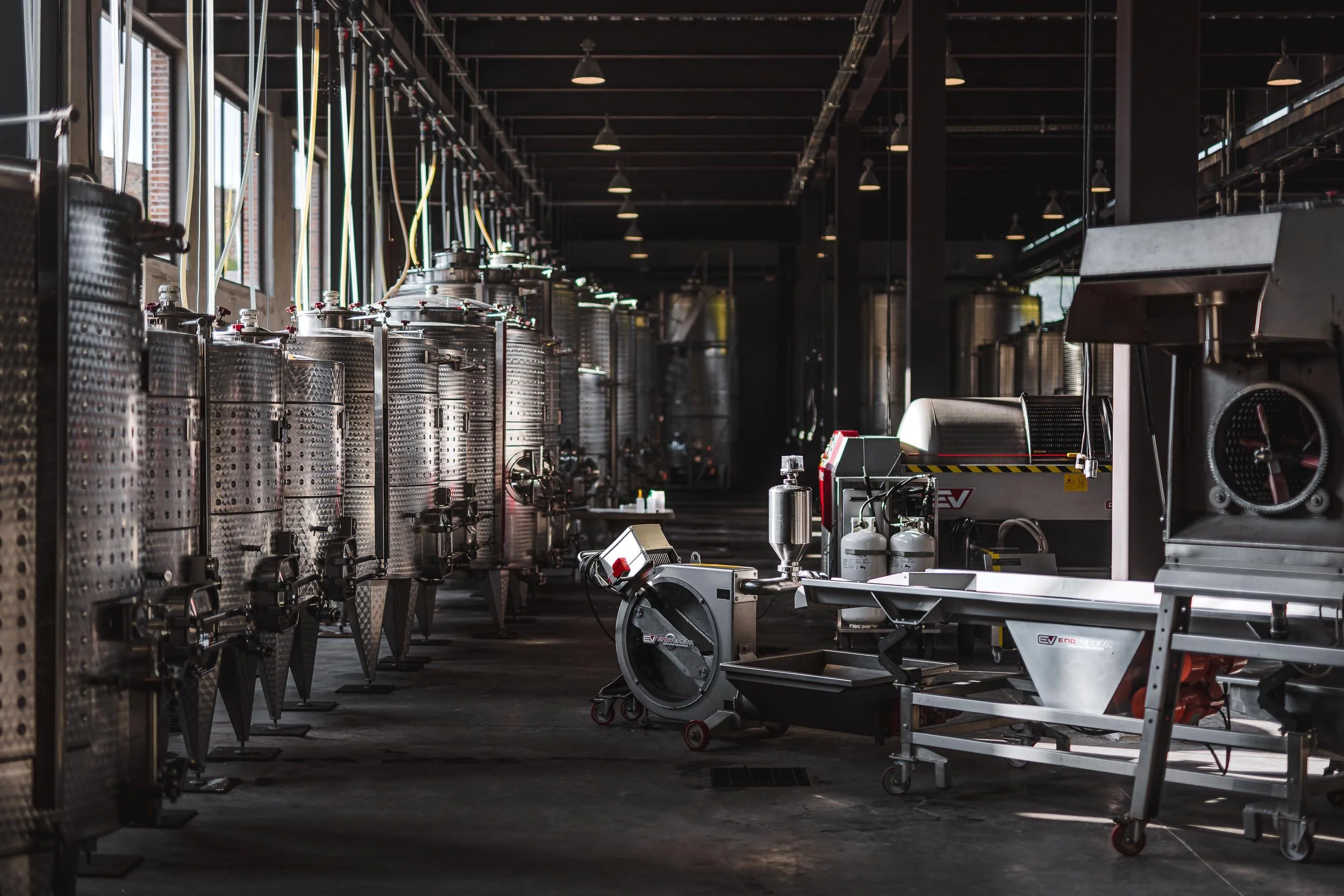 untitled -220910171307.jpg