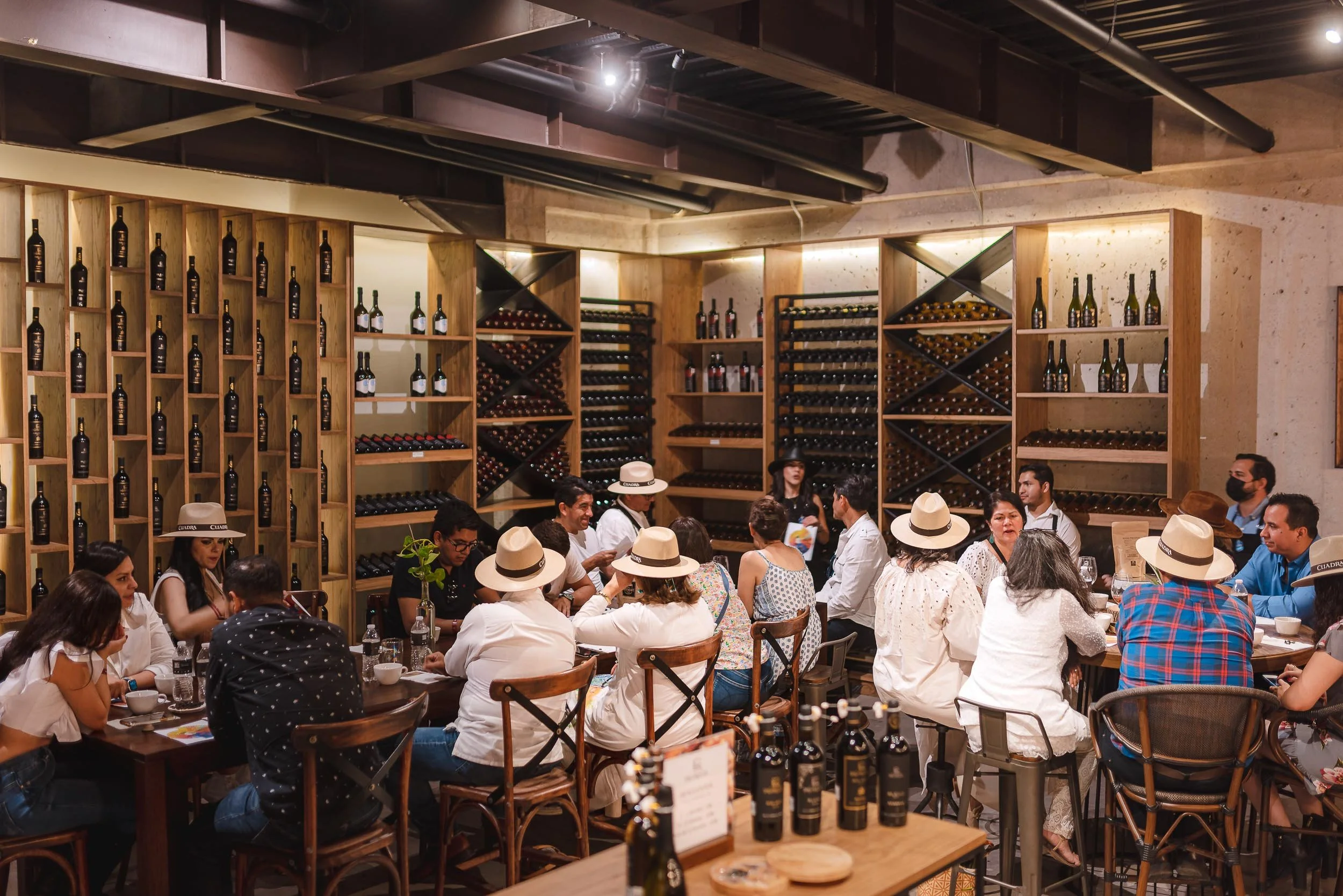 untitled -220910192343.jpg