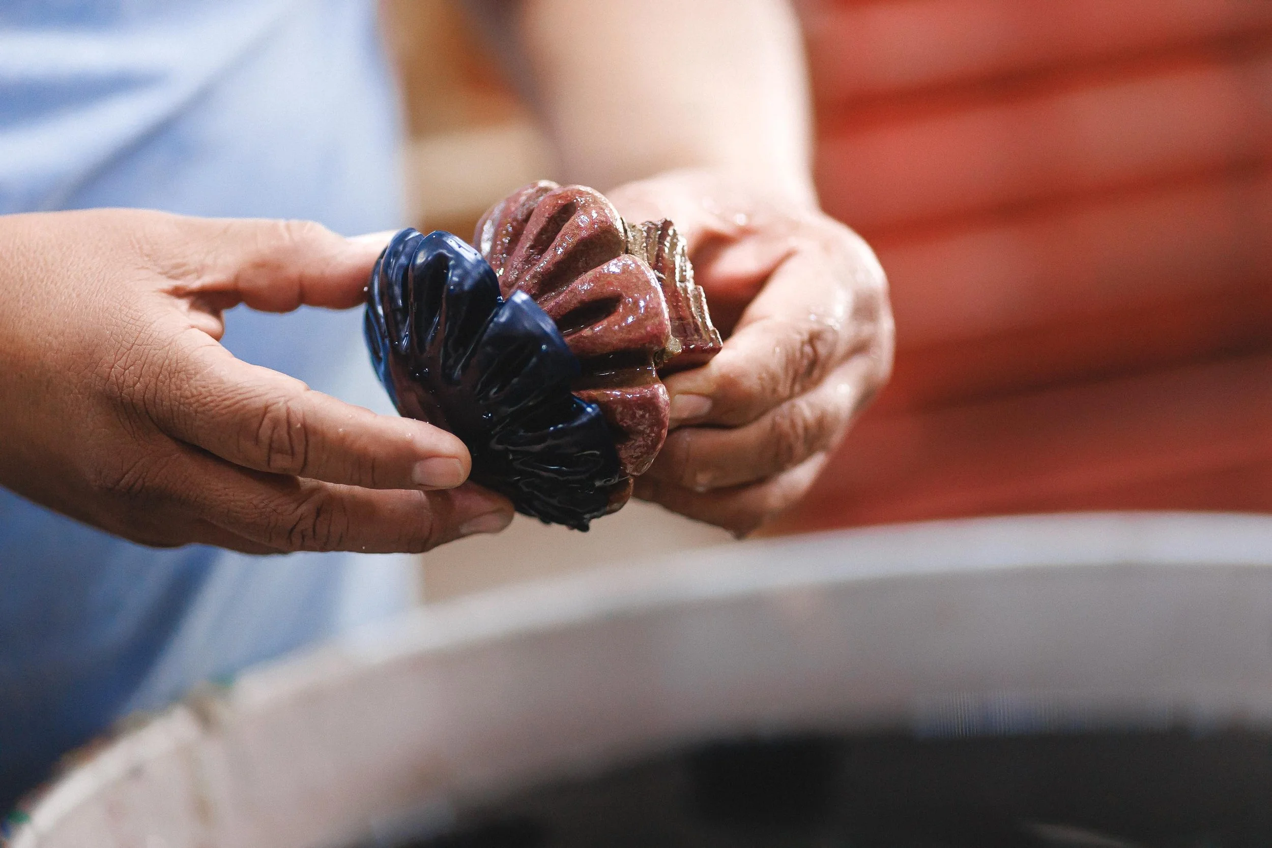 untitled -221207110743.jpg