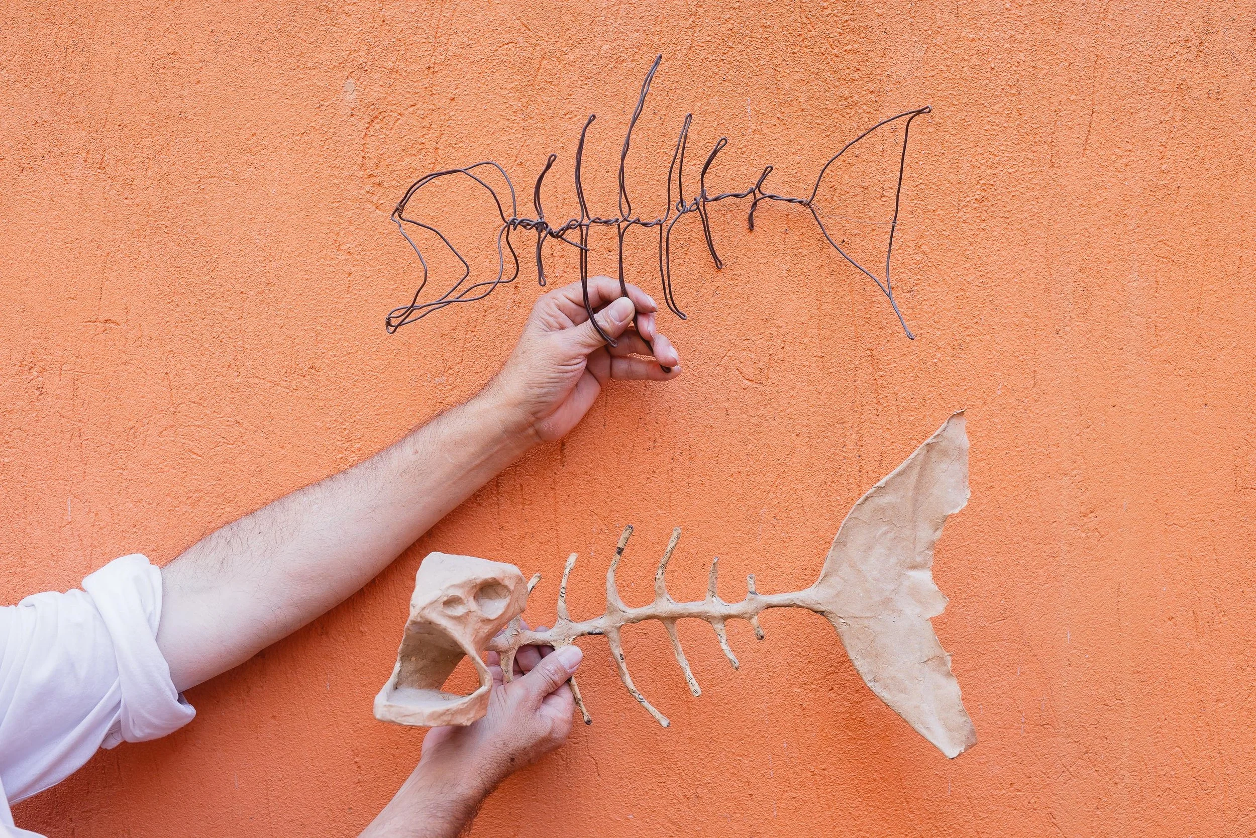 untitled -221207141739.jpg