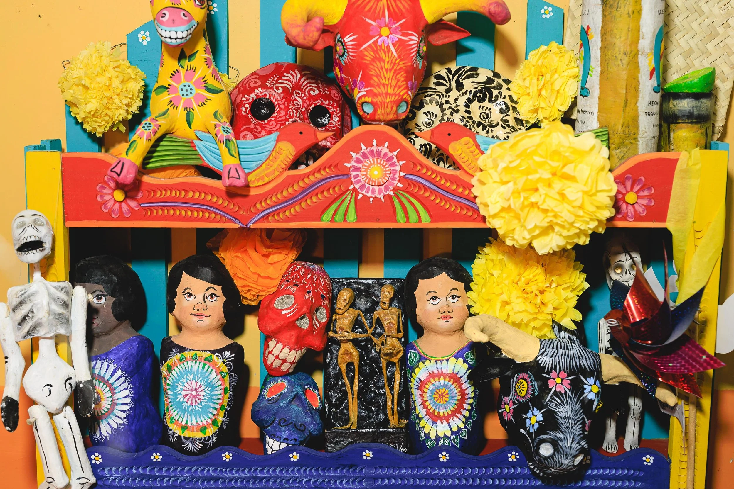 untitled -221207142851.jpg