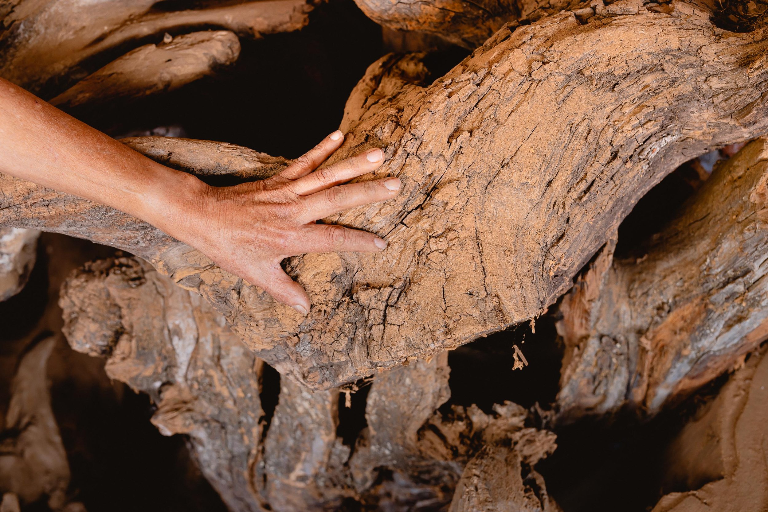 untitled -221209115406.jpg