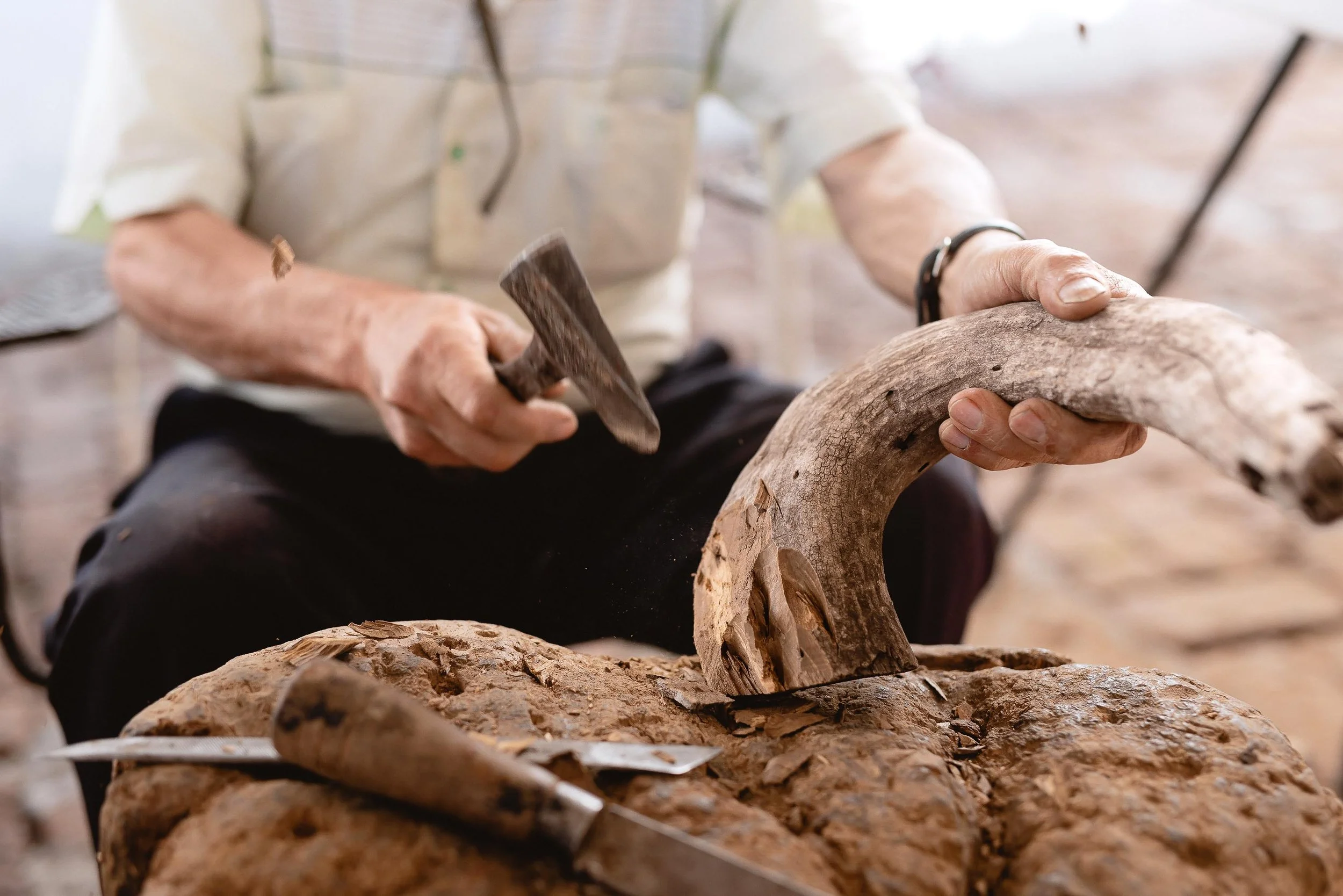 untitled -221209130624.jpg