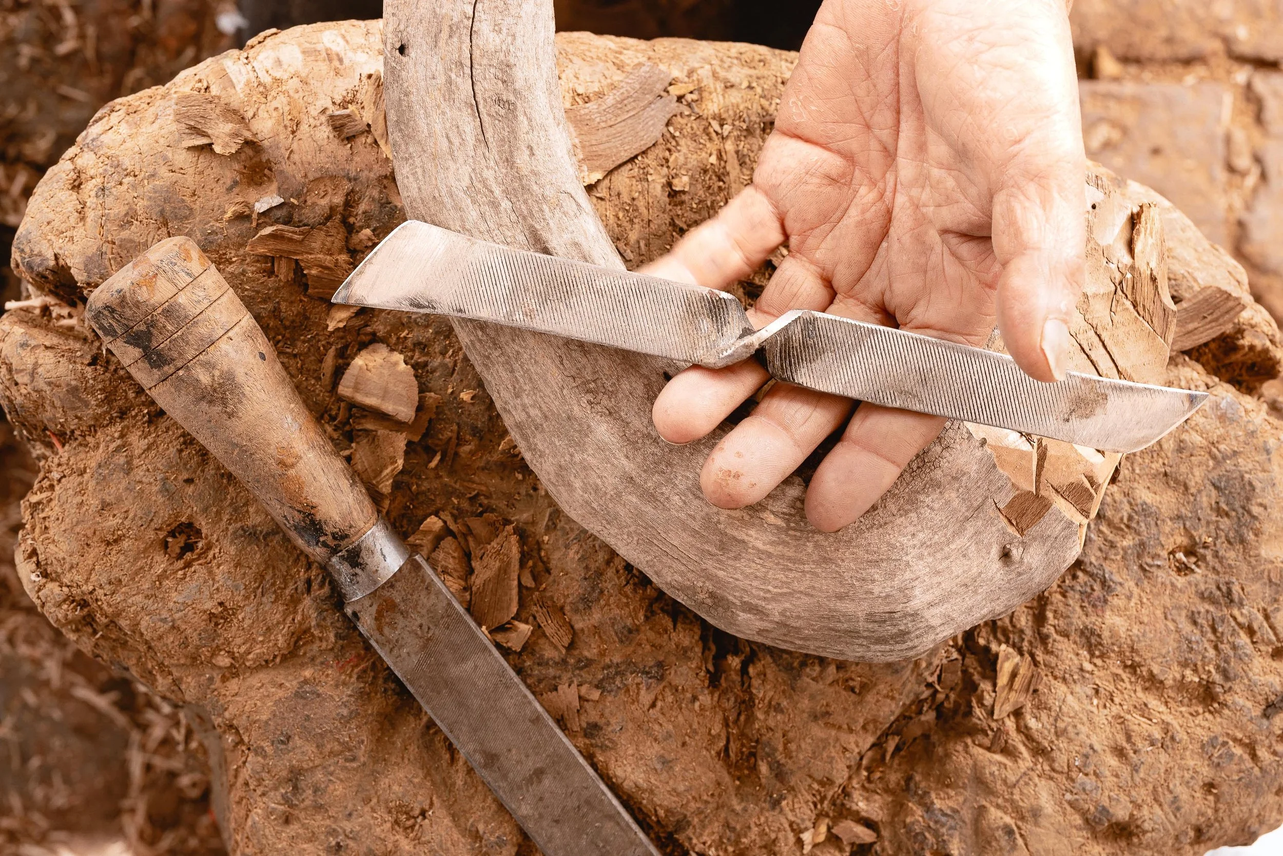 untitled -221209131023.jpg