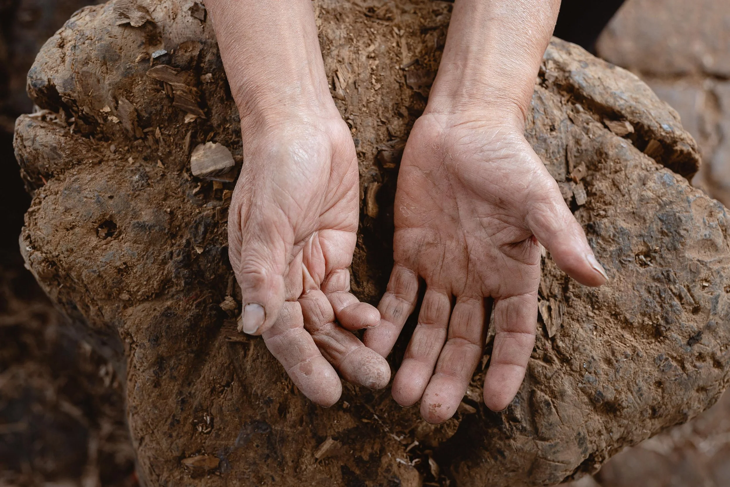 untitled -221209131659.jpg