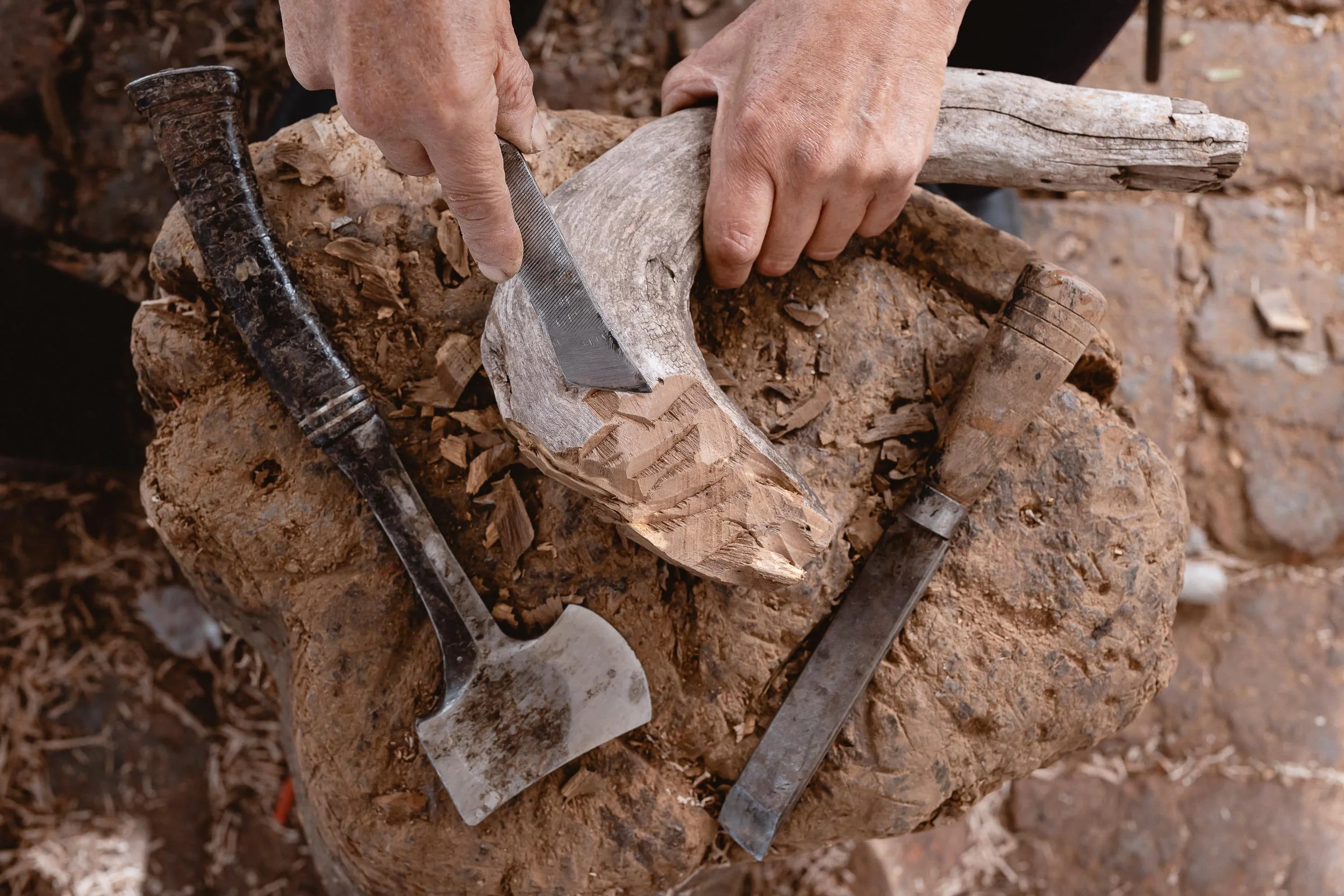 untitled -221209131817.jpg