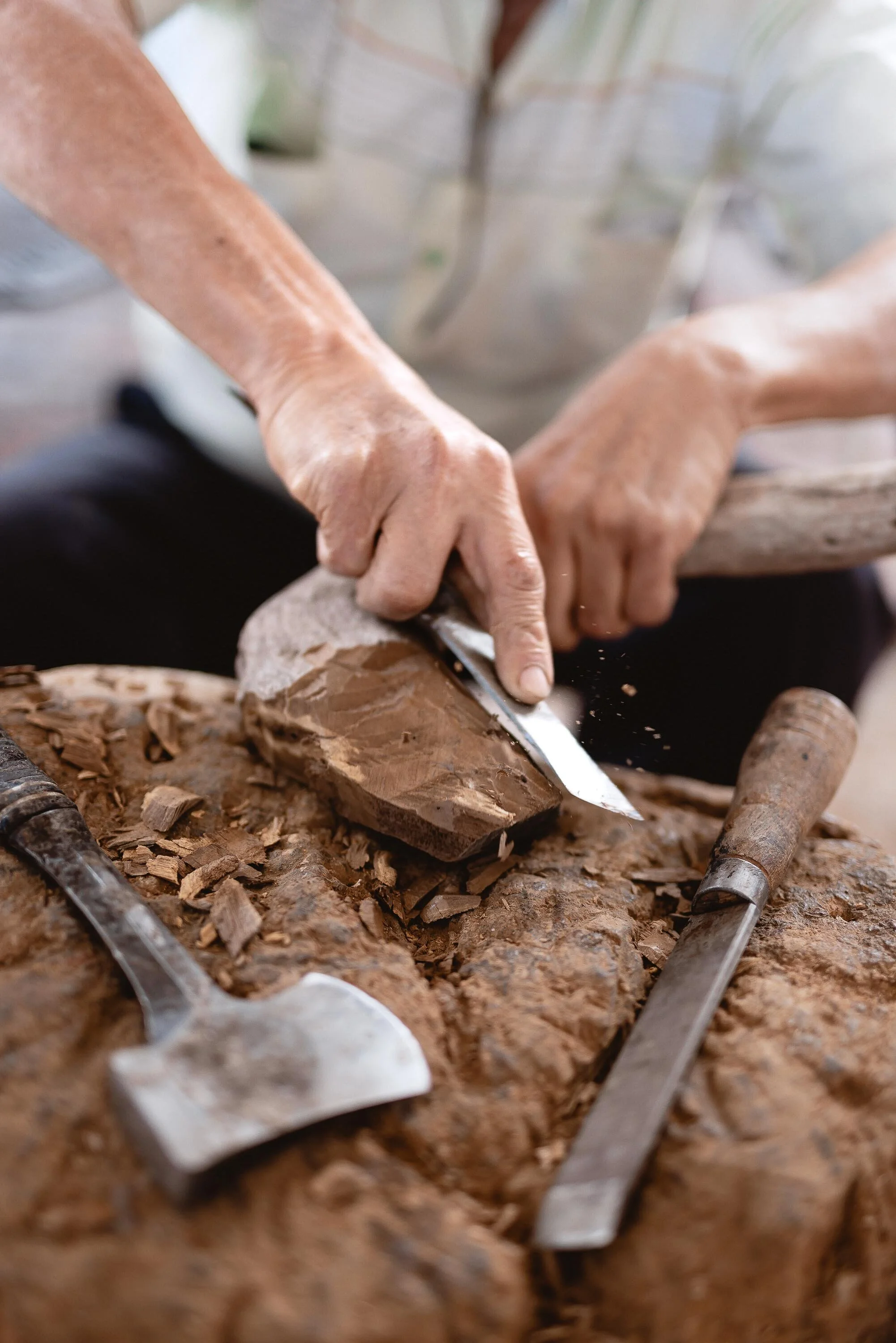 untitled -221209131903.jpg